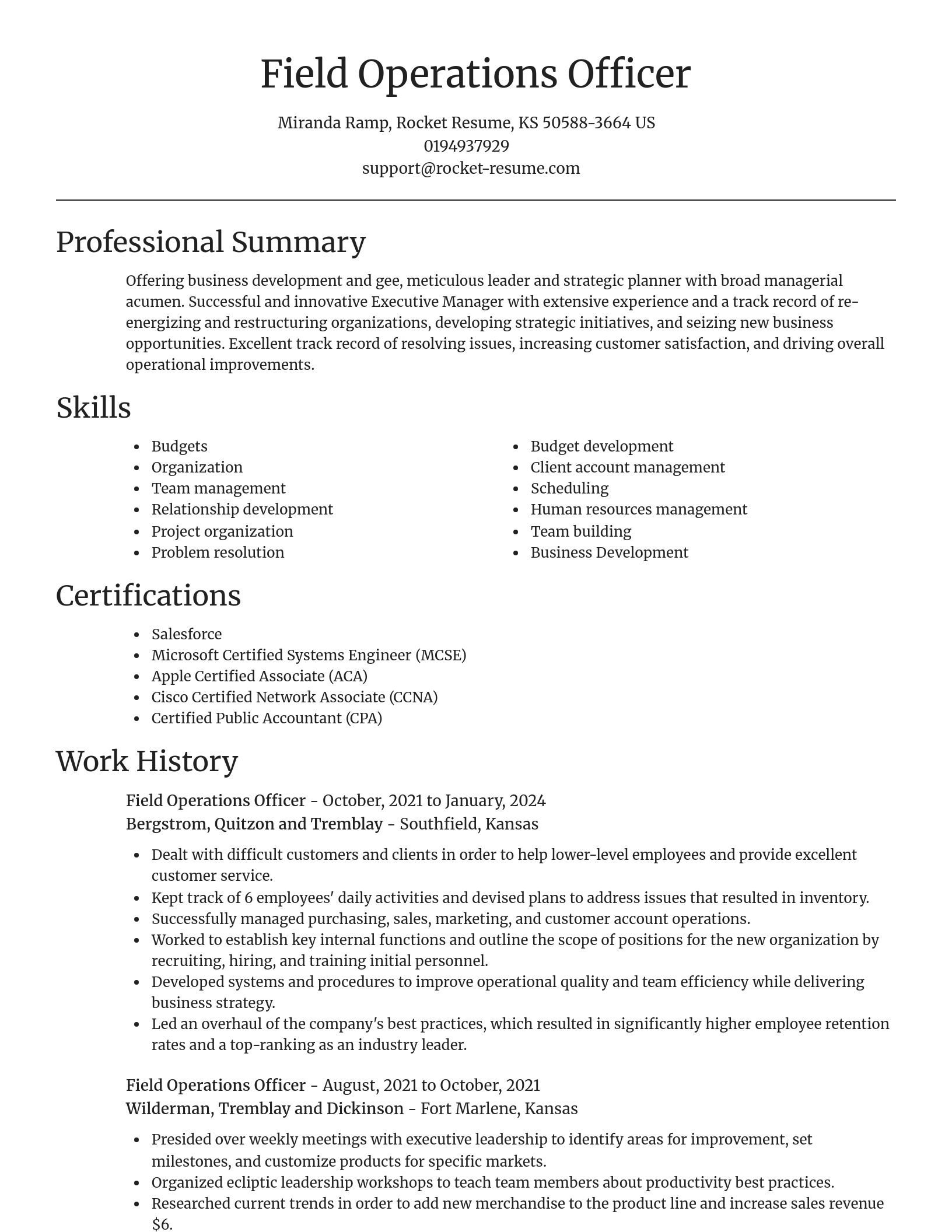 Focal Point resume template