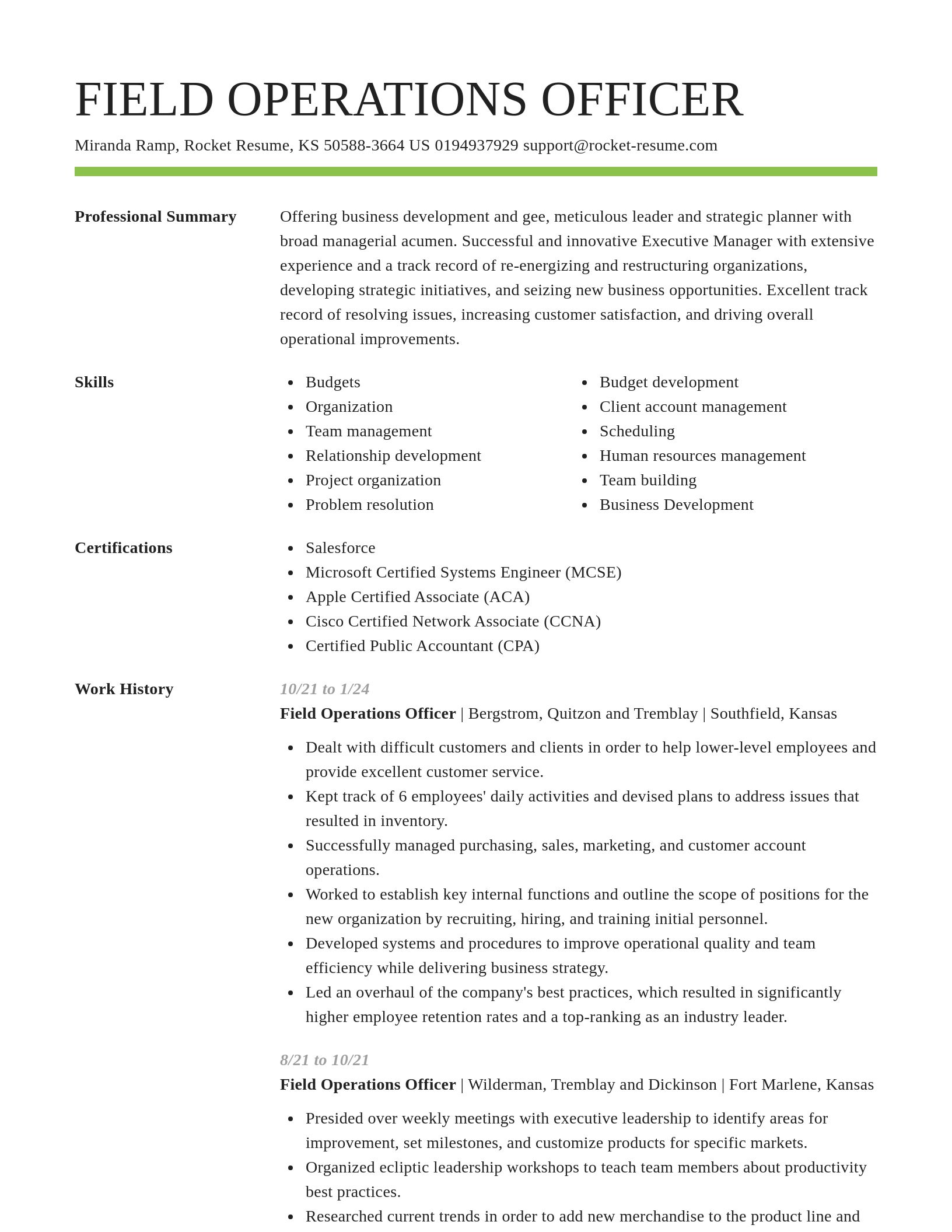 Smart resume template