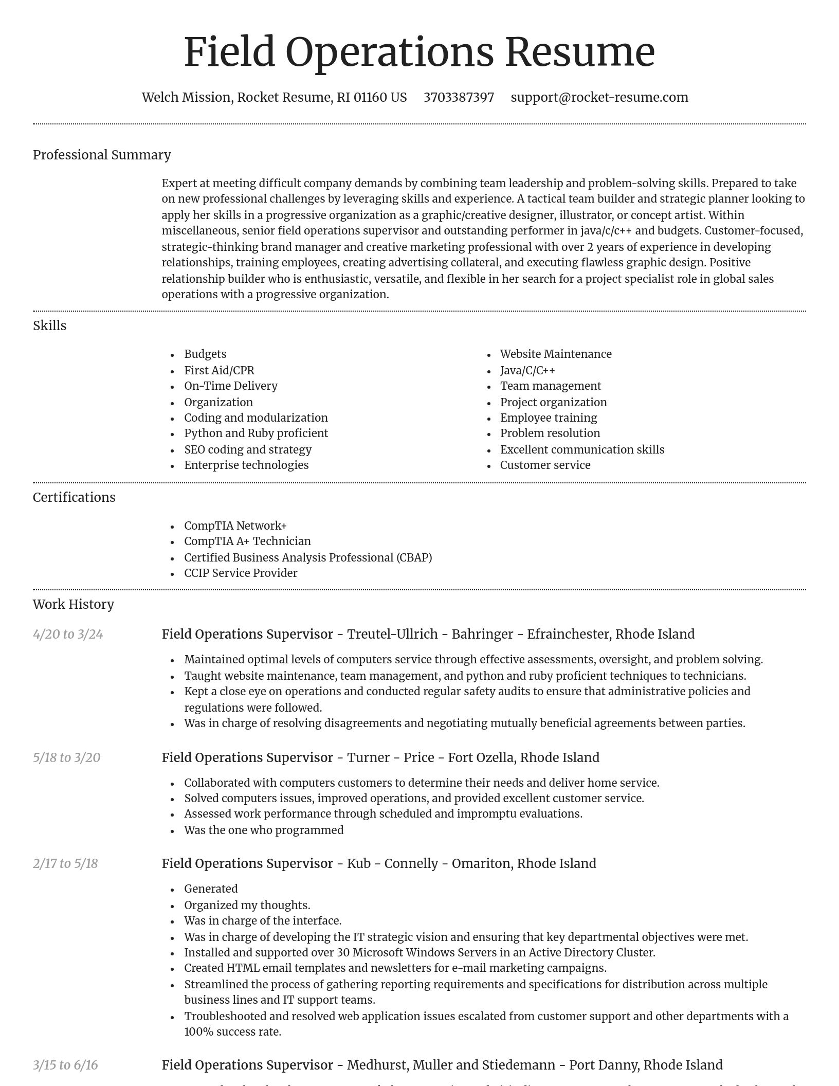 Dignified resume template