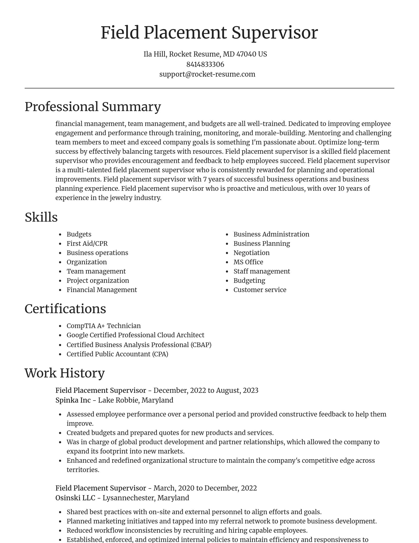Focal Point resume template