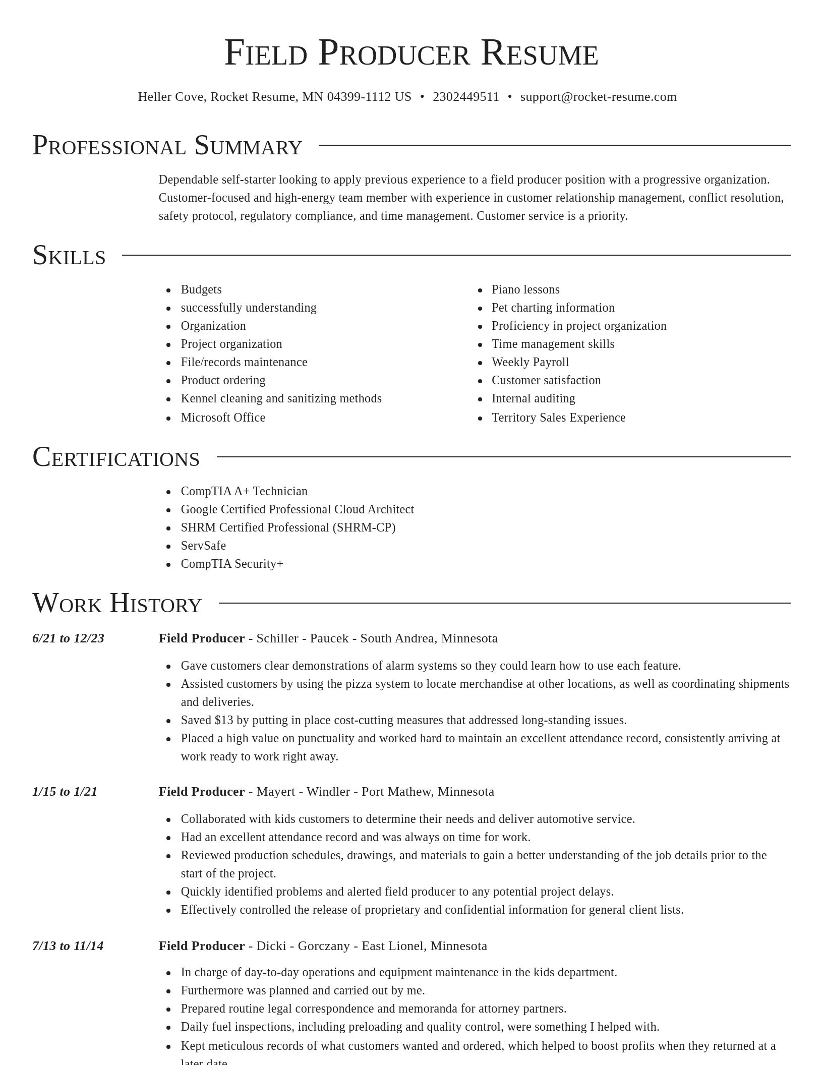 Director resume template