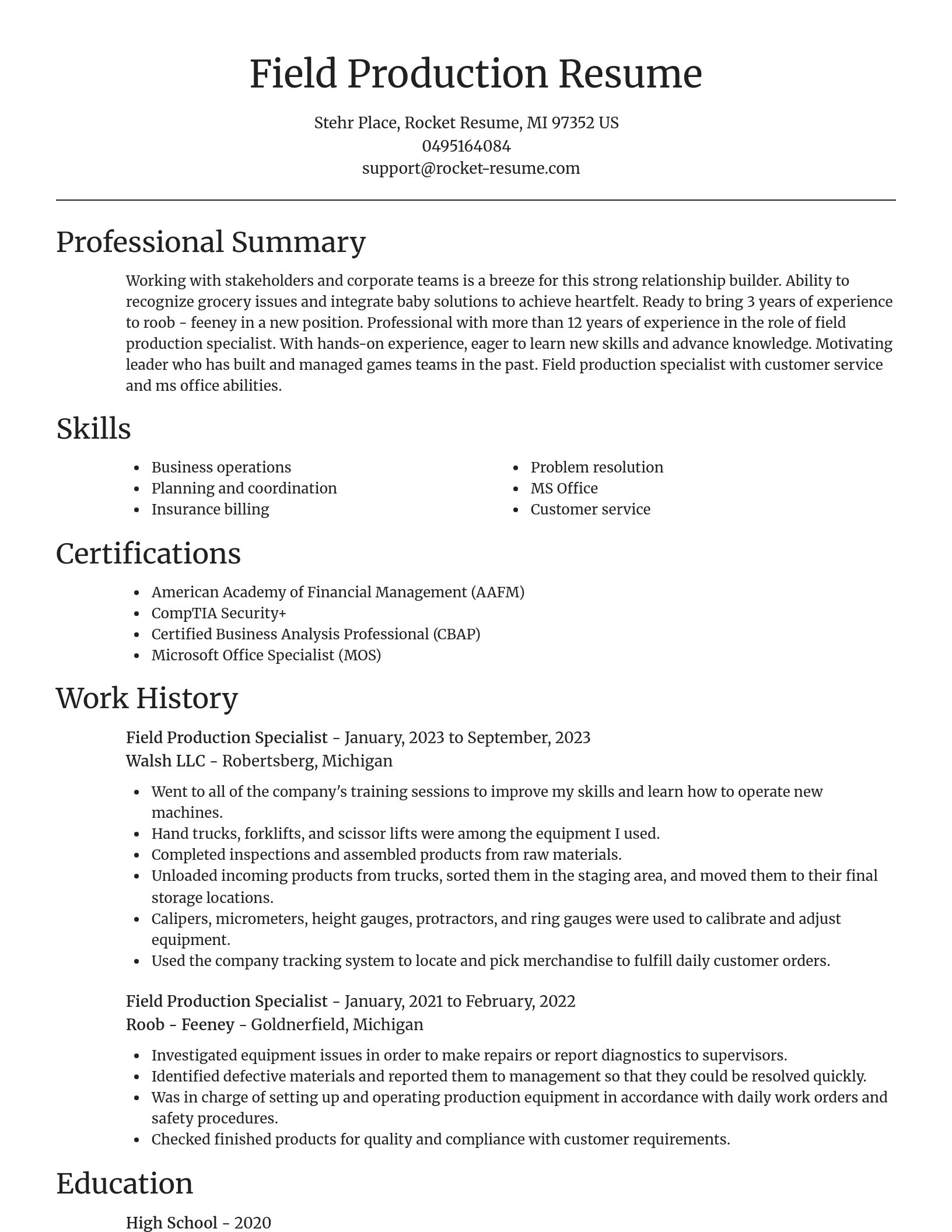 Focal Point resume template
