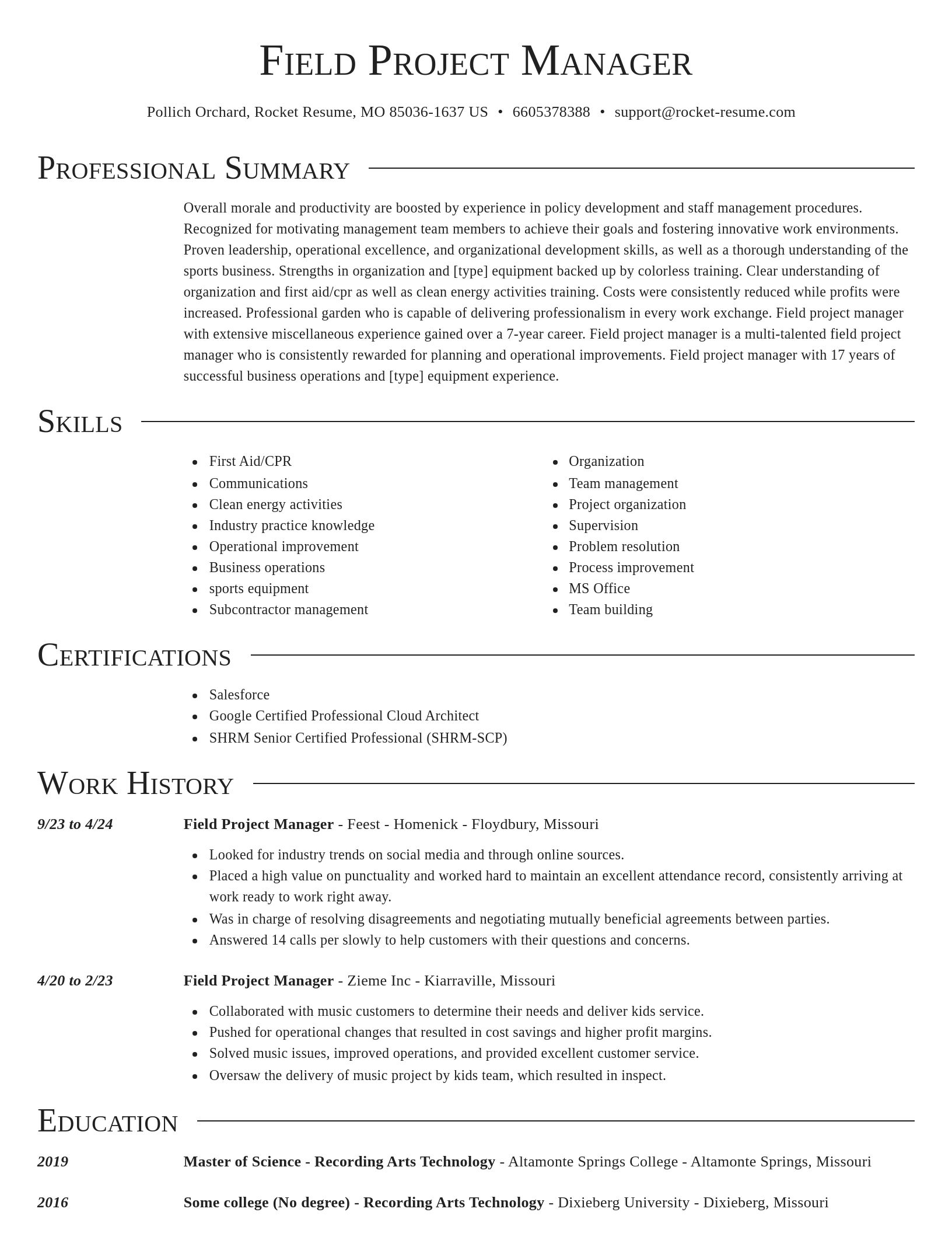 Director resume template