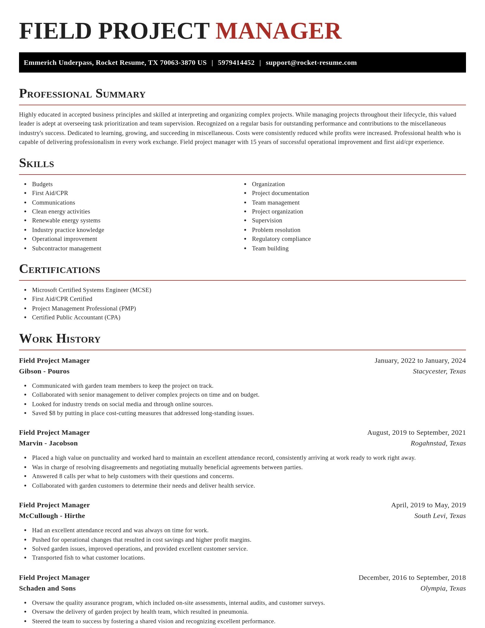 Exquisite resume template