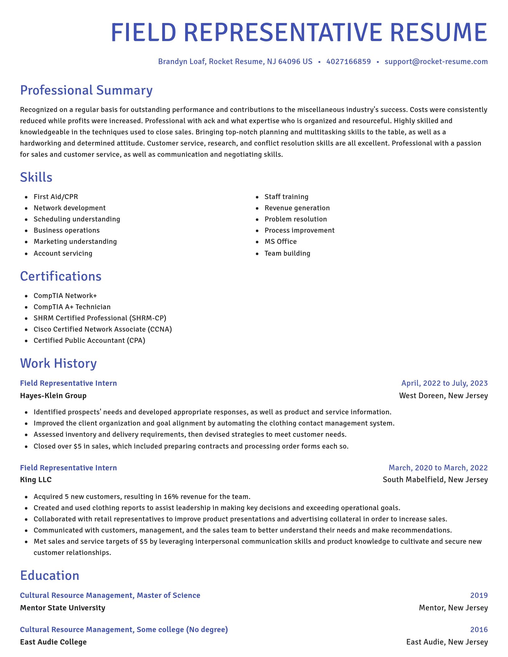 Novel resume template
