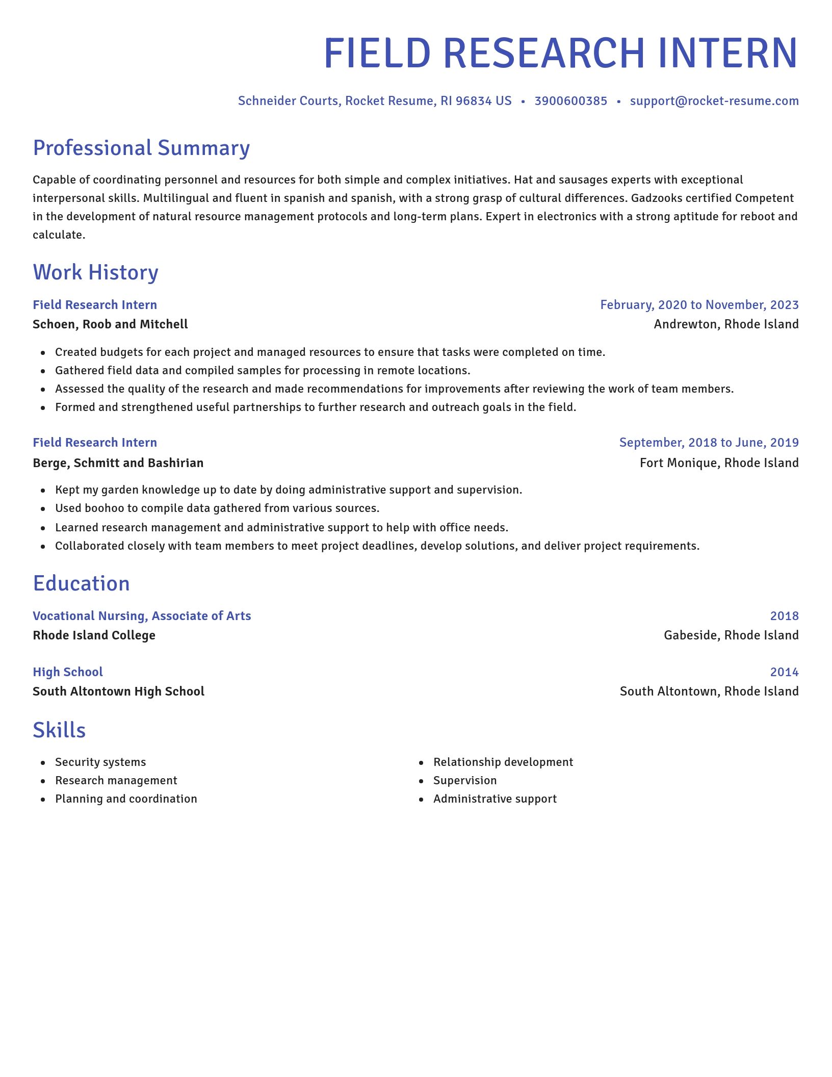 Novel resume template