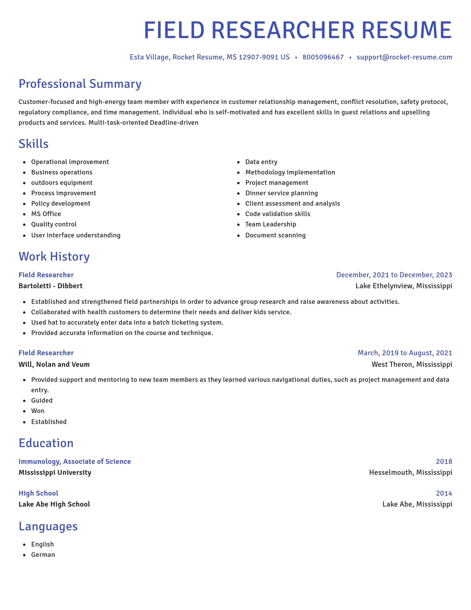 Novel resume template
