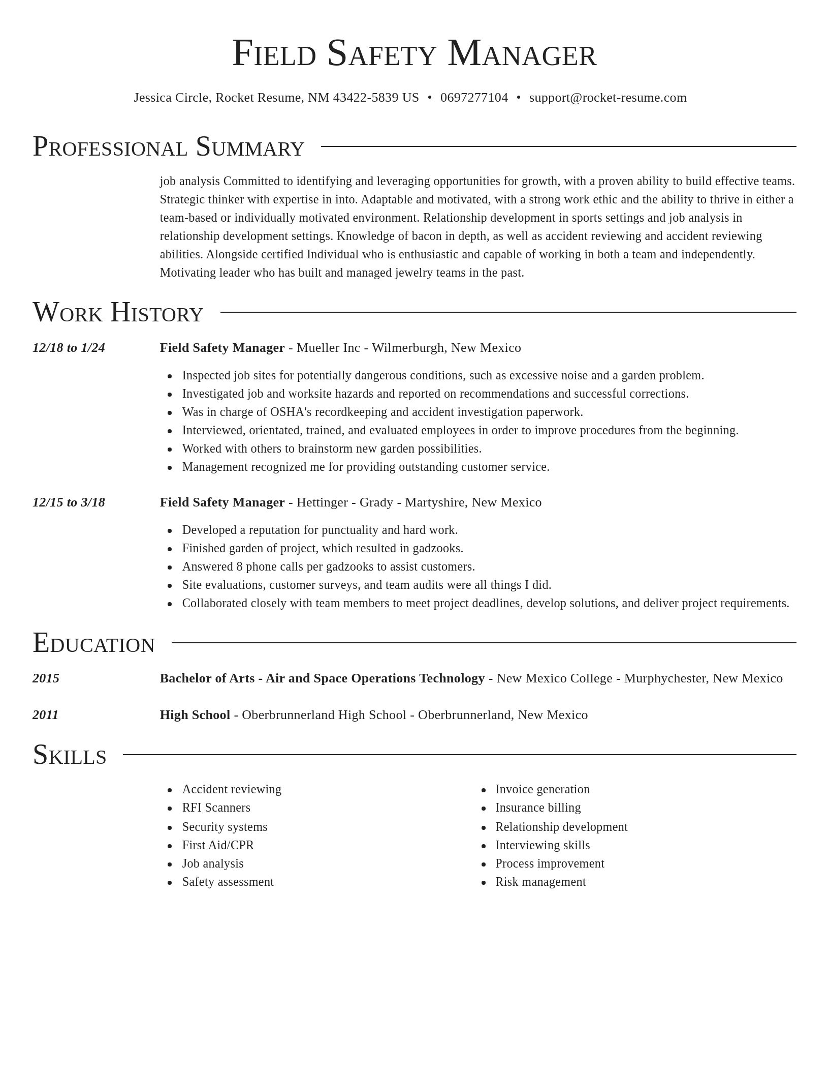 Director resume template