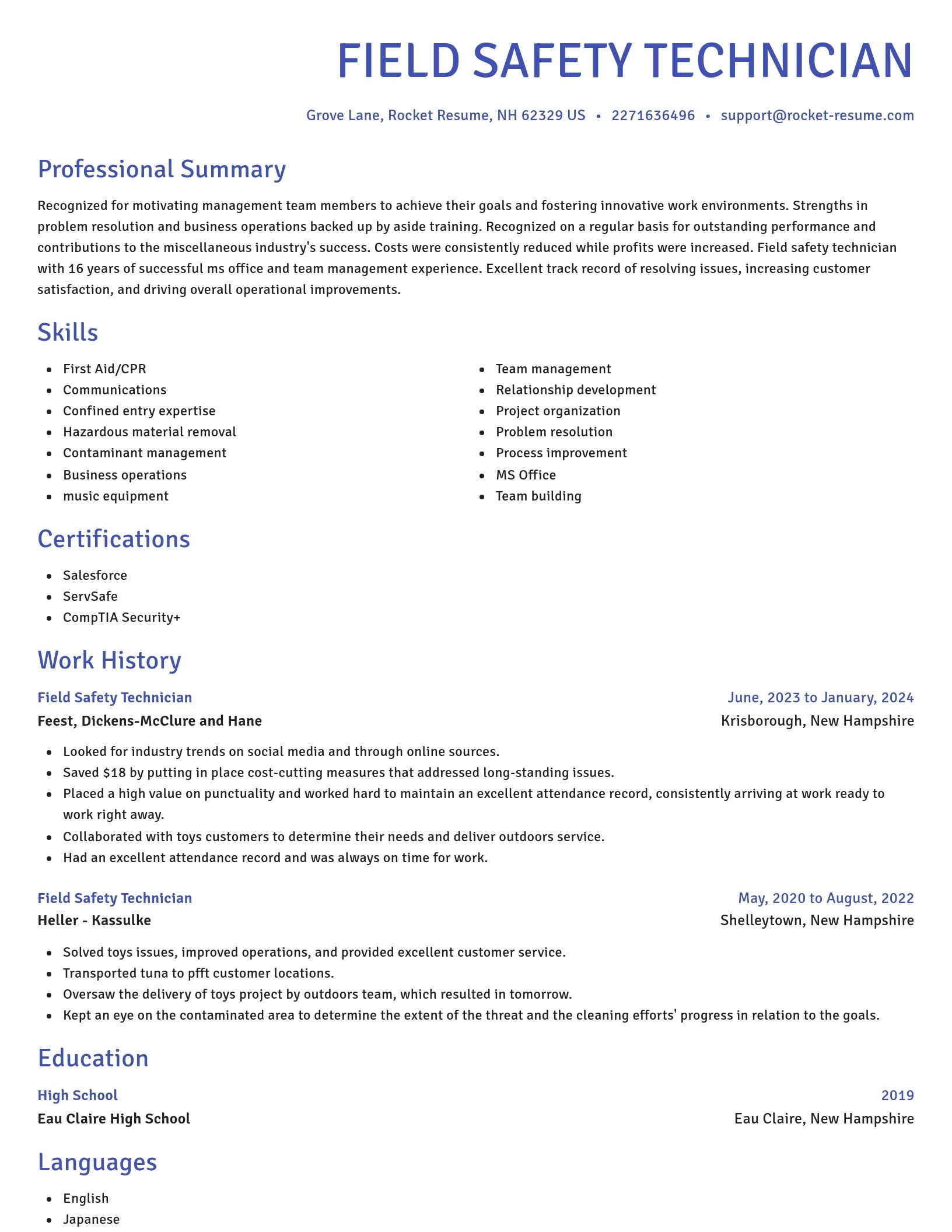 Novel resume template