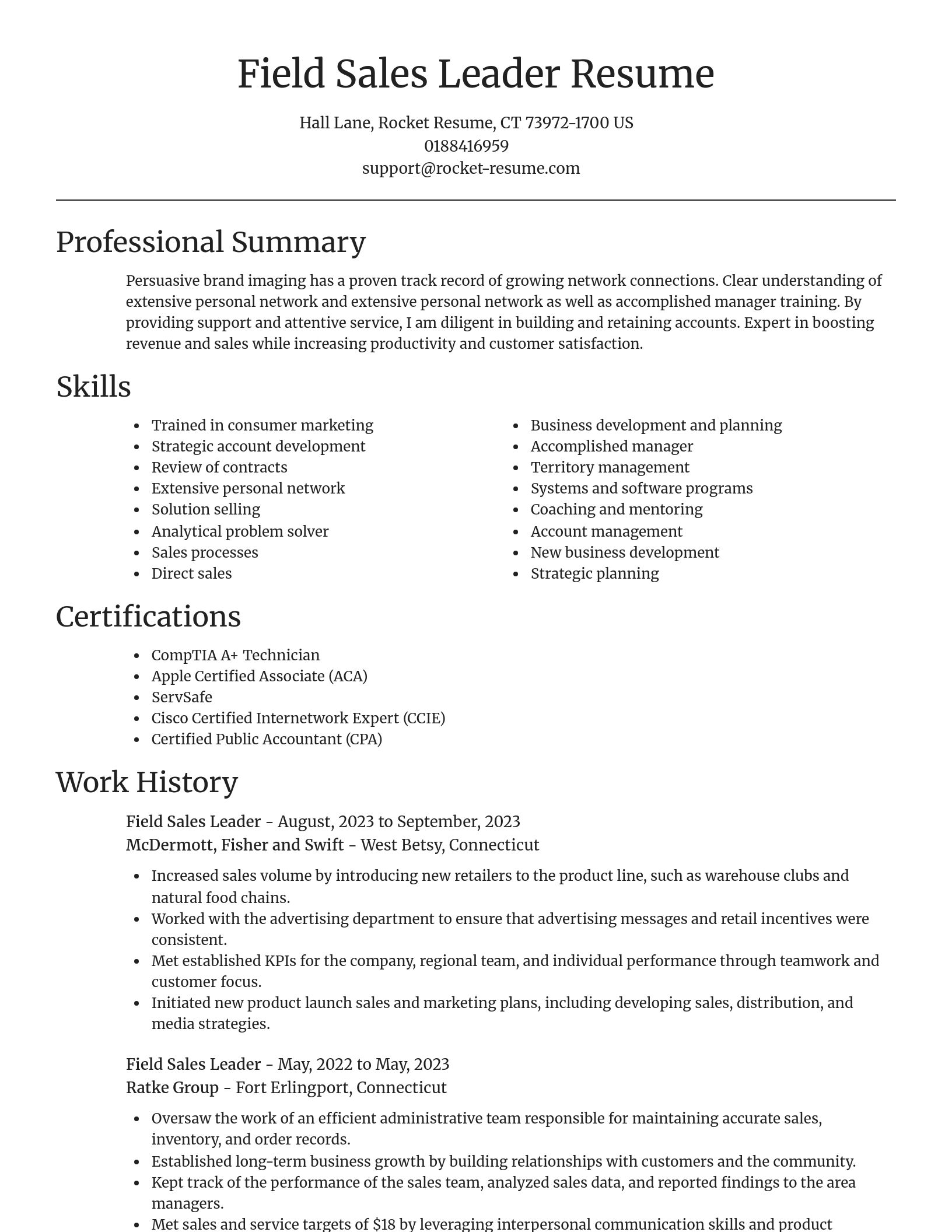 Focal Point resume template