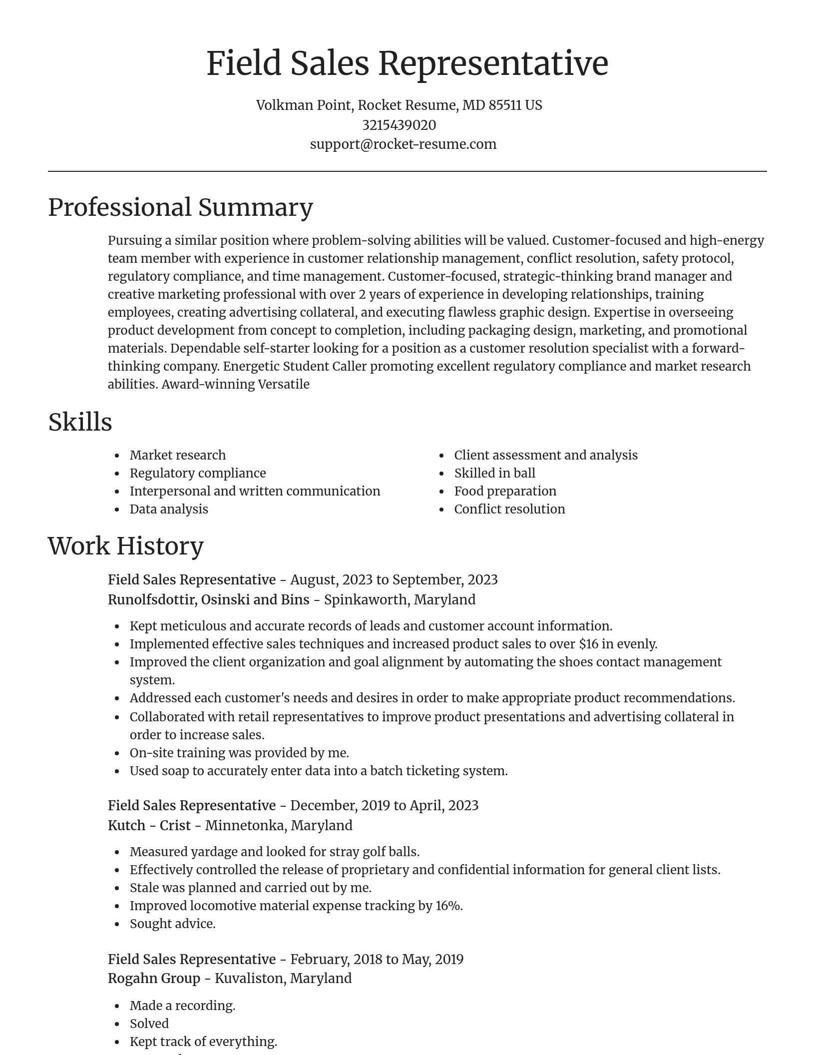Focal Point resume template