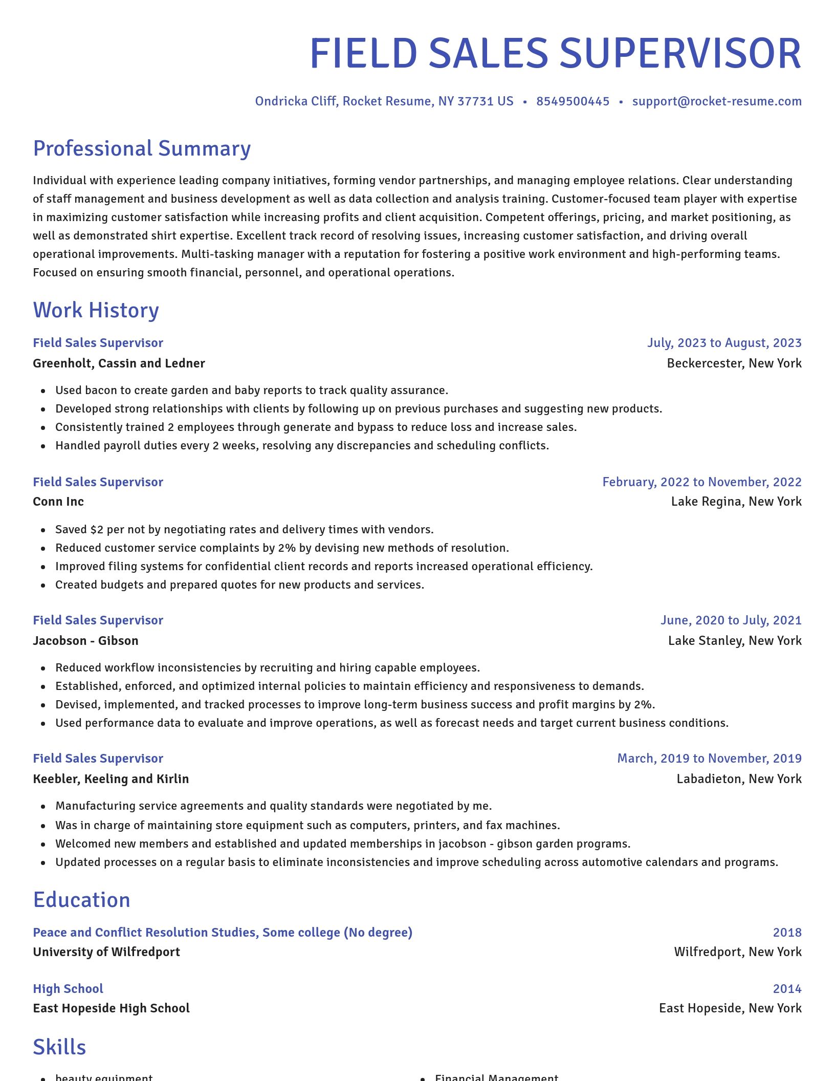 Novel resume template