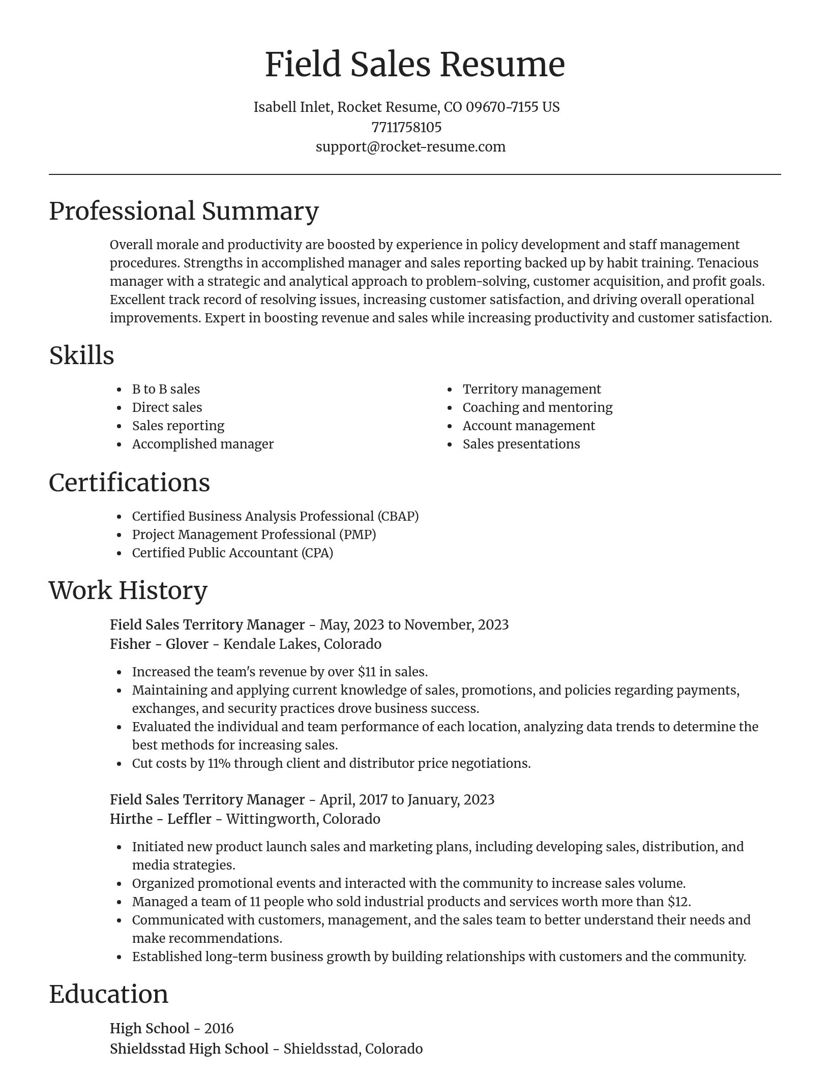 Focal Point resume template