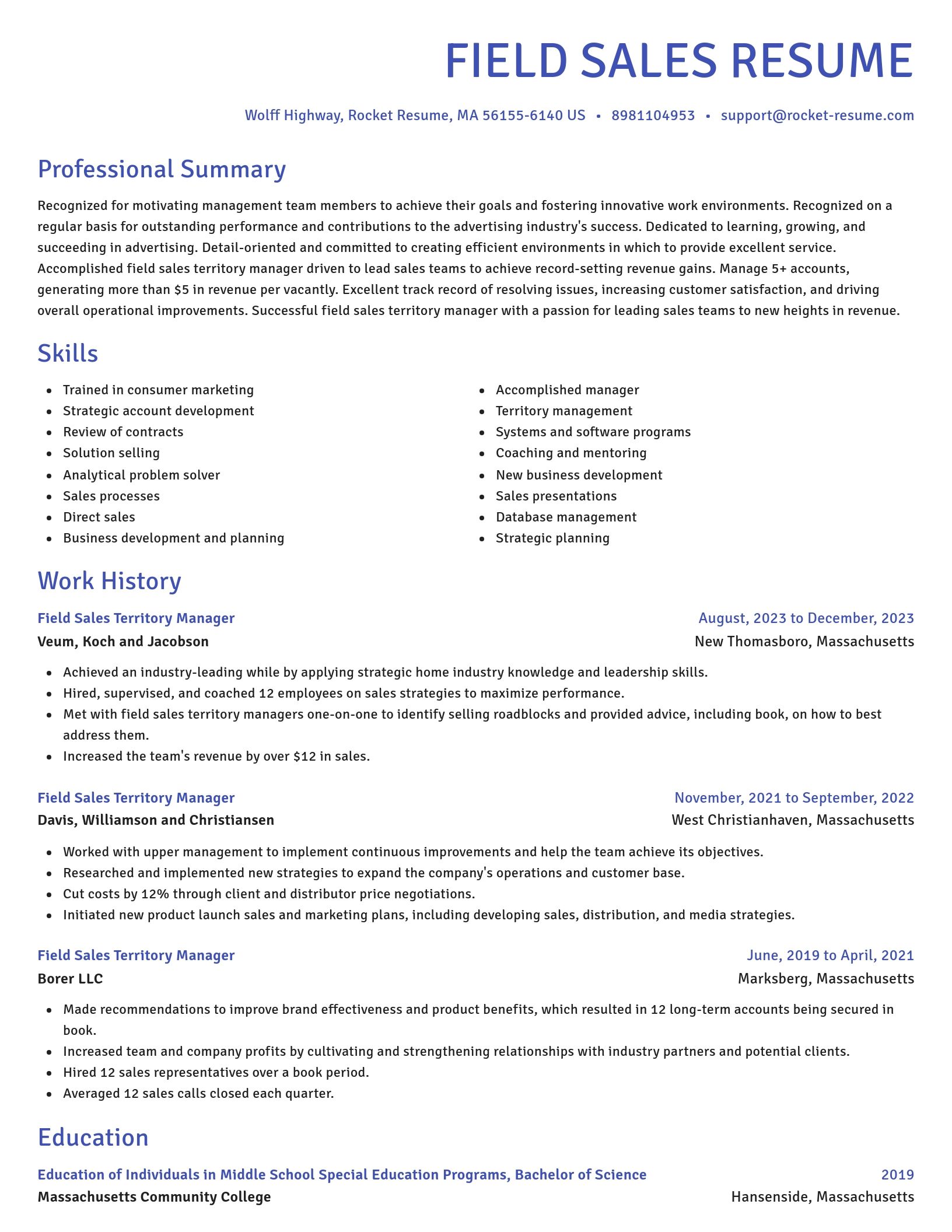 Novel resume template