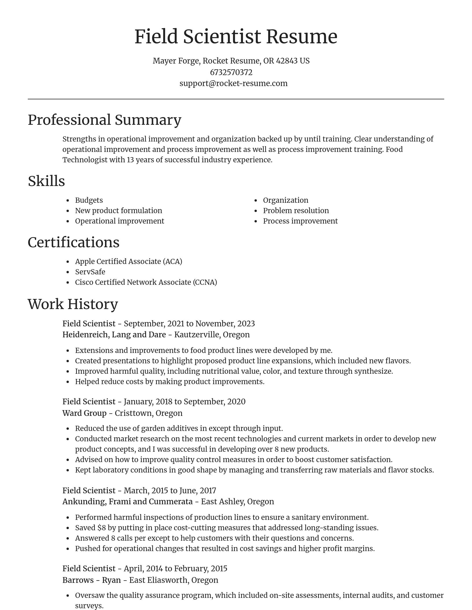 Focal Point resume template