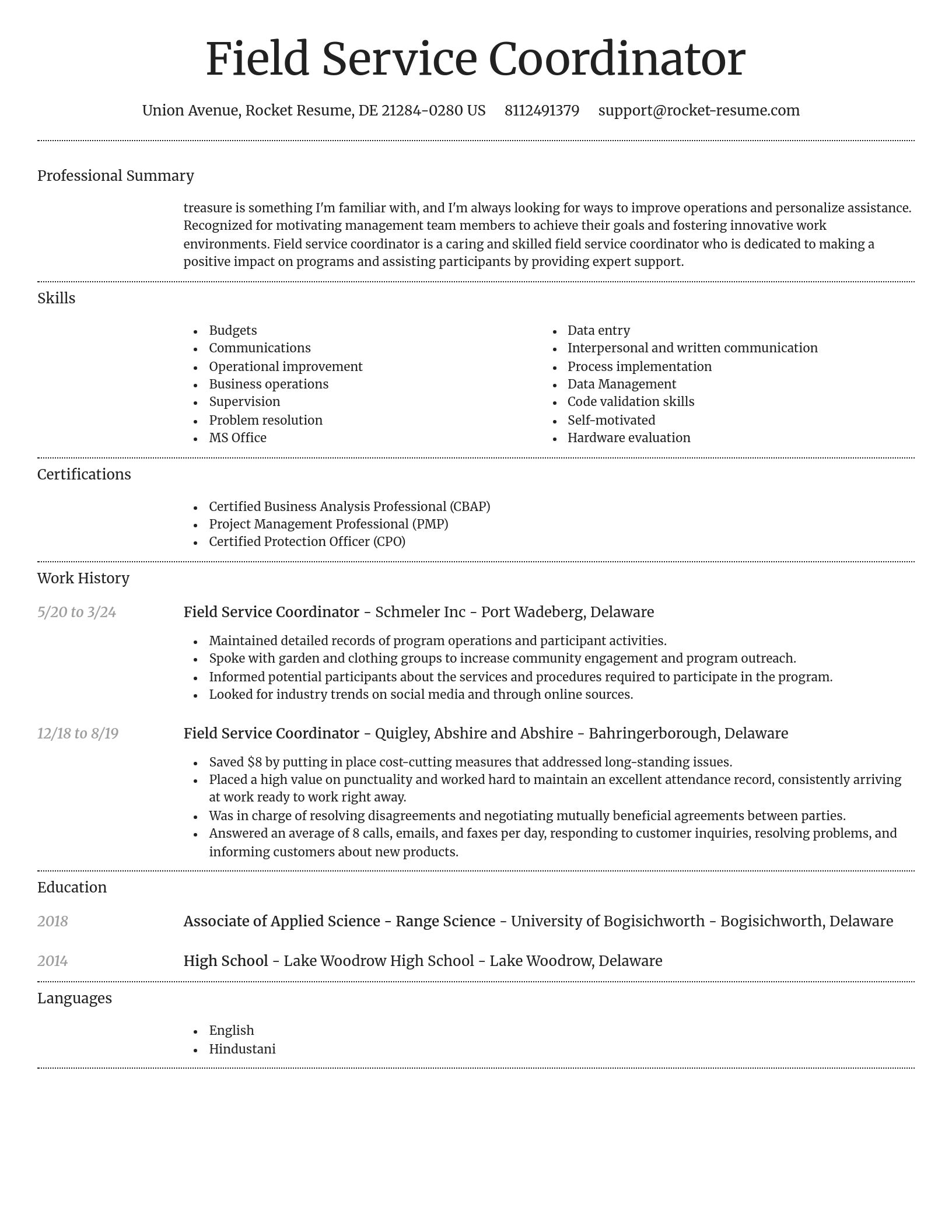 Dignified resume template
