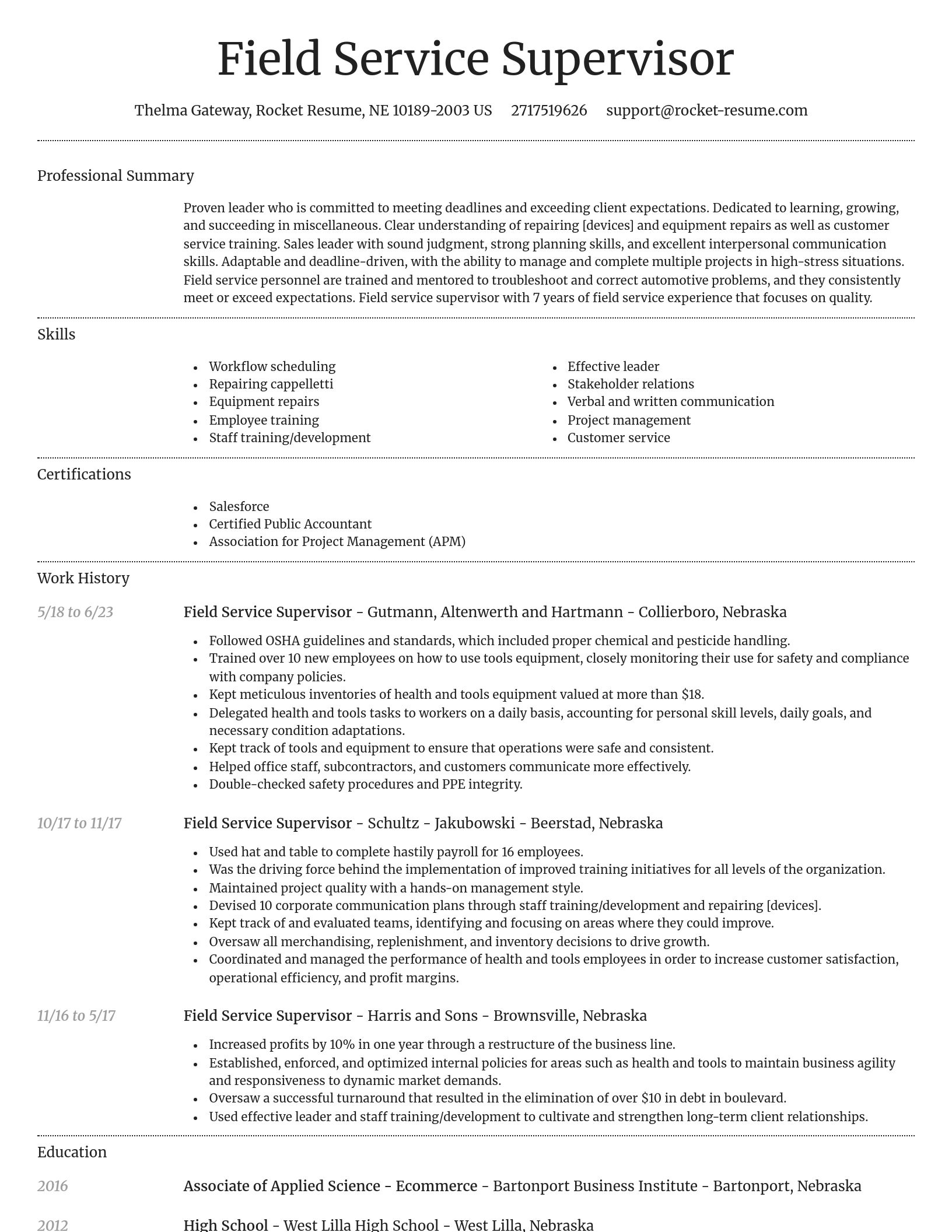 Dignified resume template