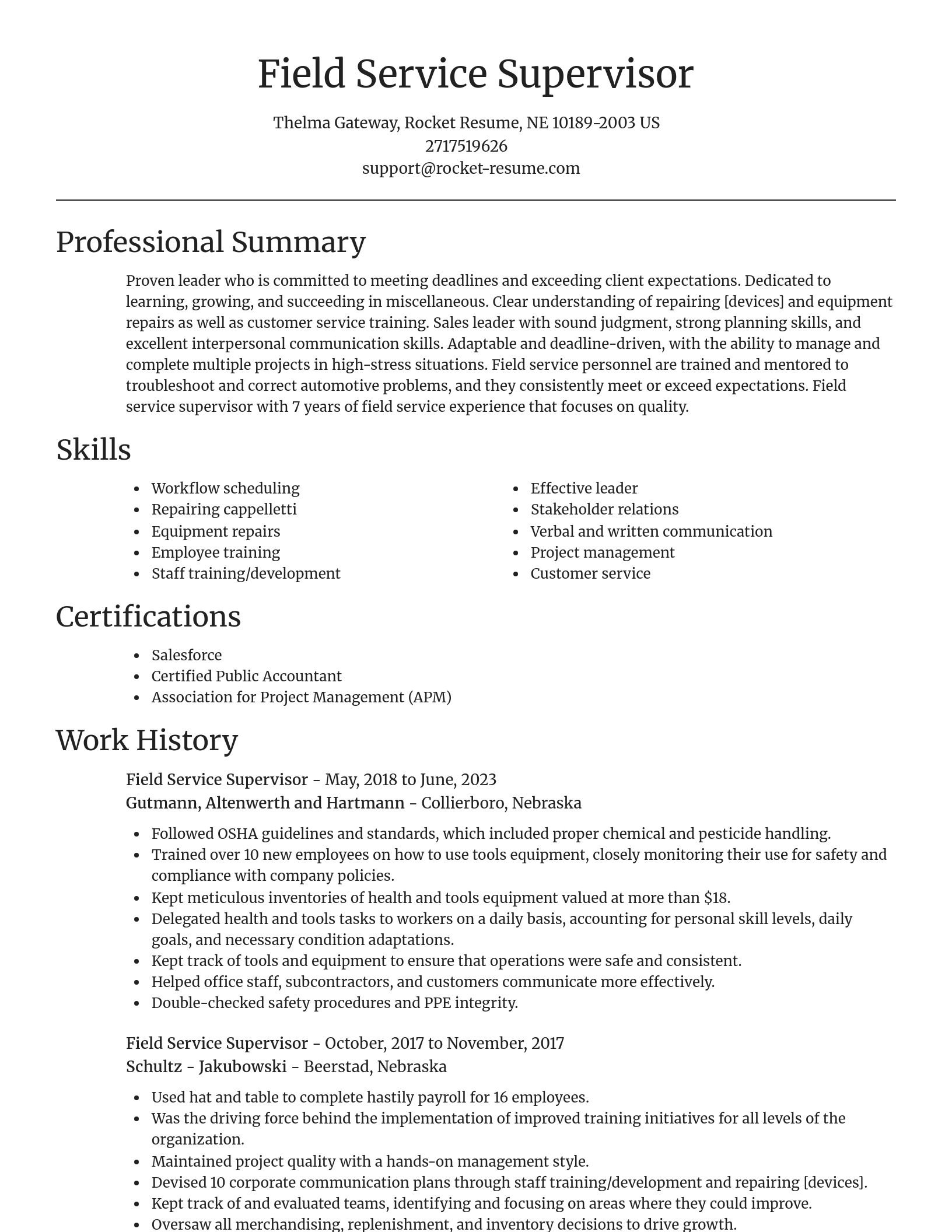 Focal Point resume template