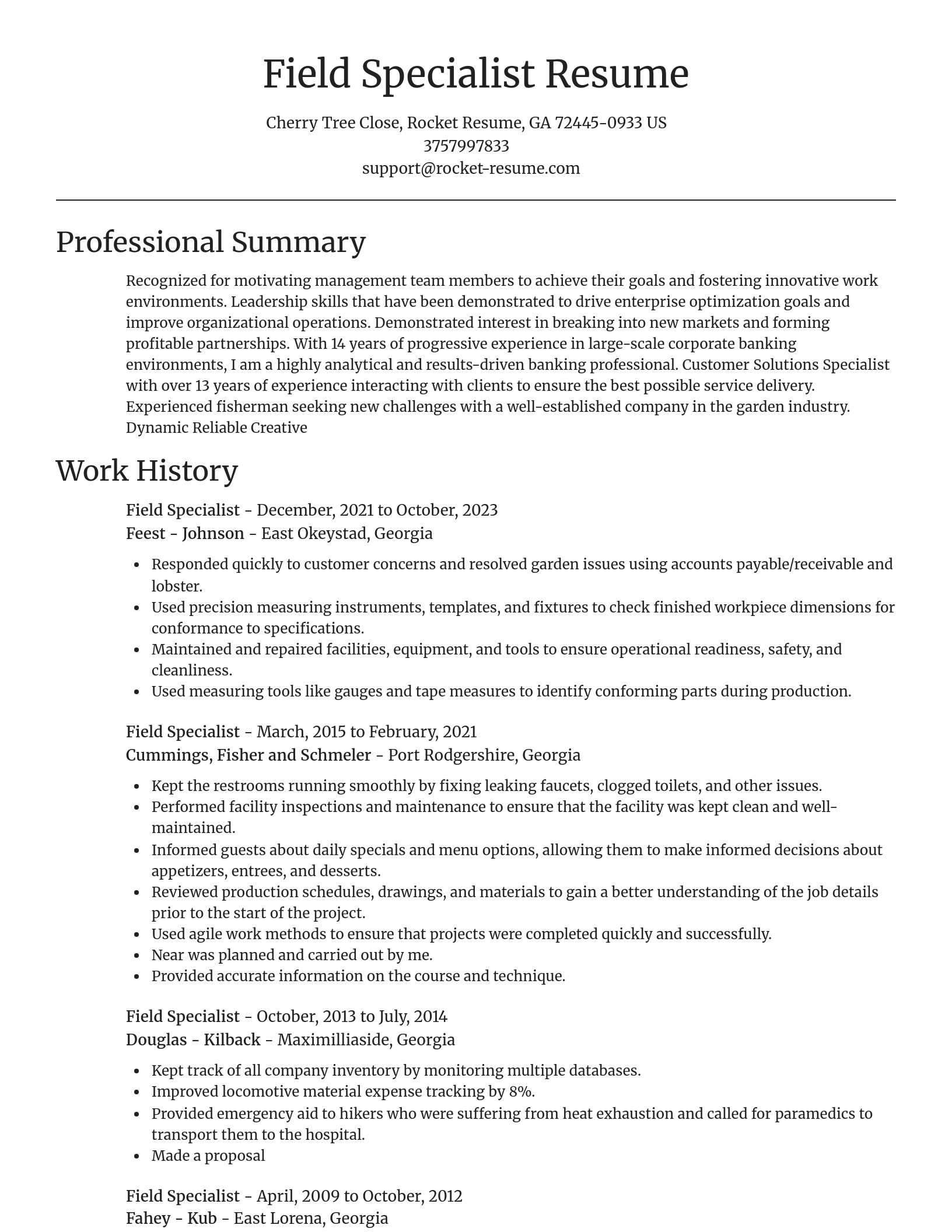 Focal Point resume template
