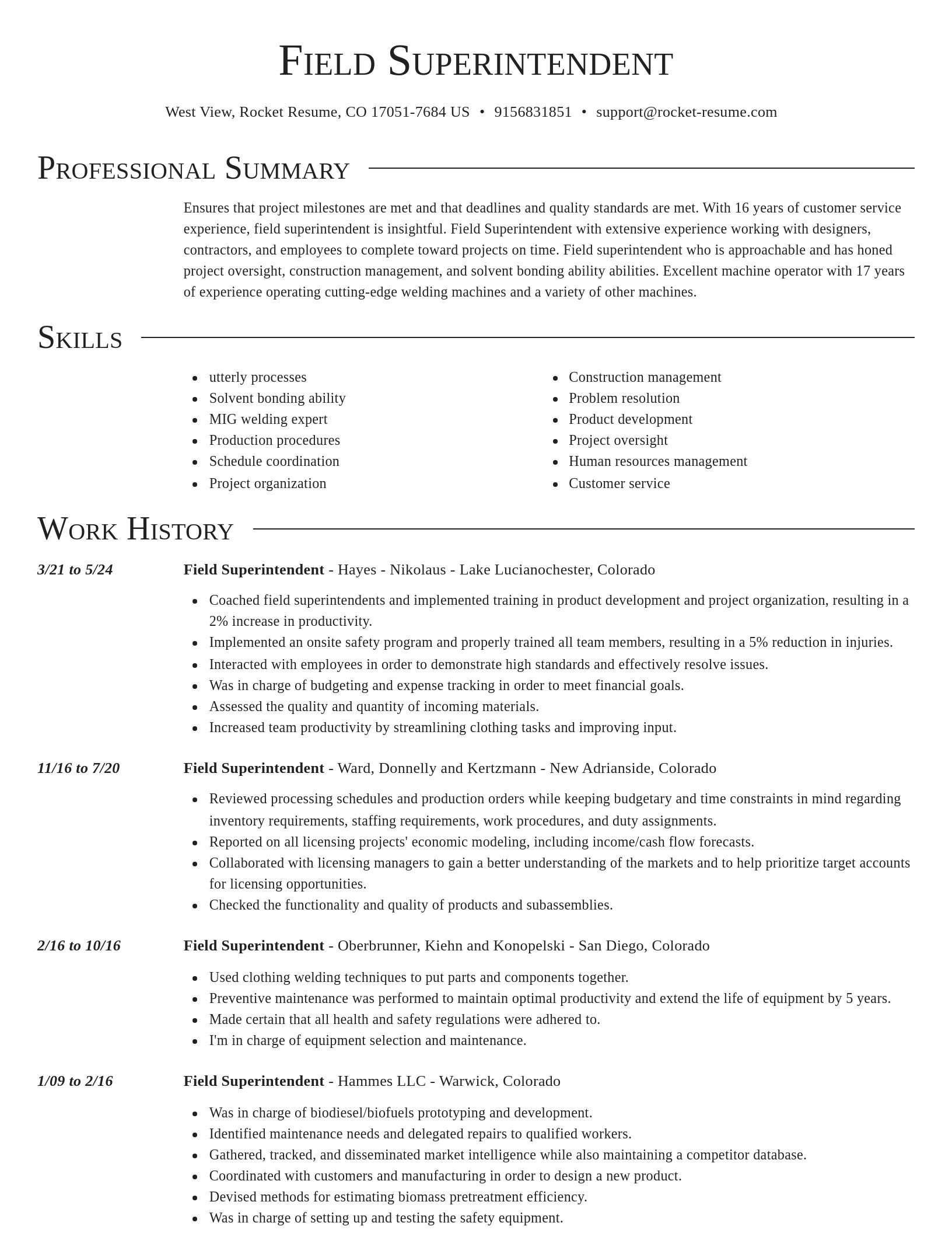 Director resume template