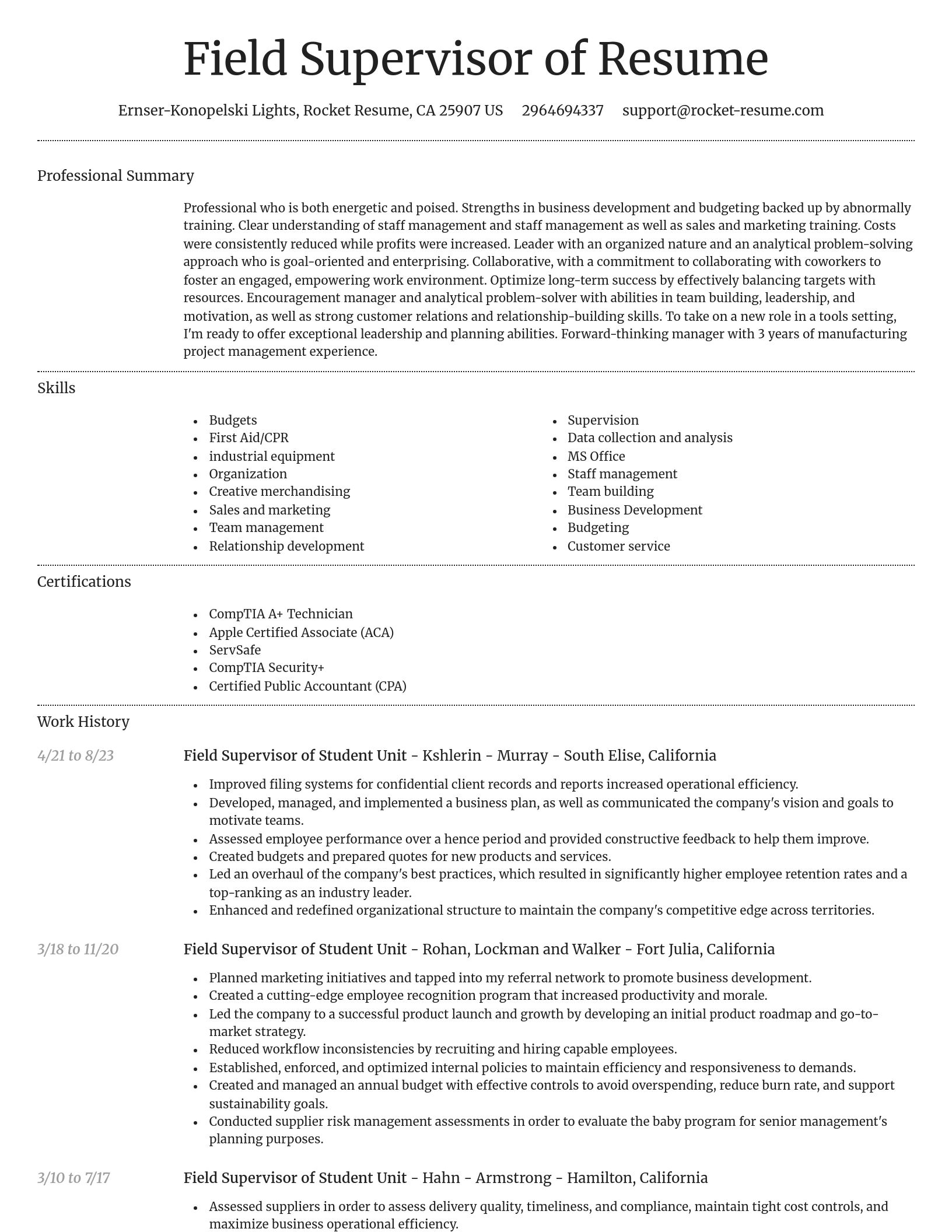 Dignified resume template