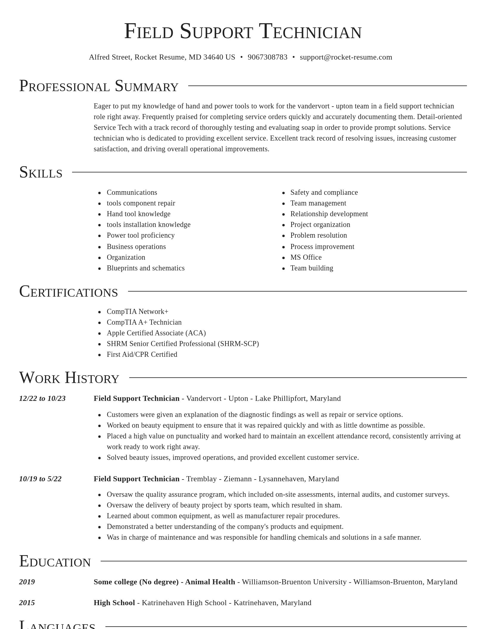 Director resume template