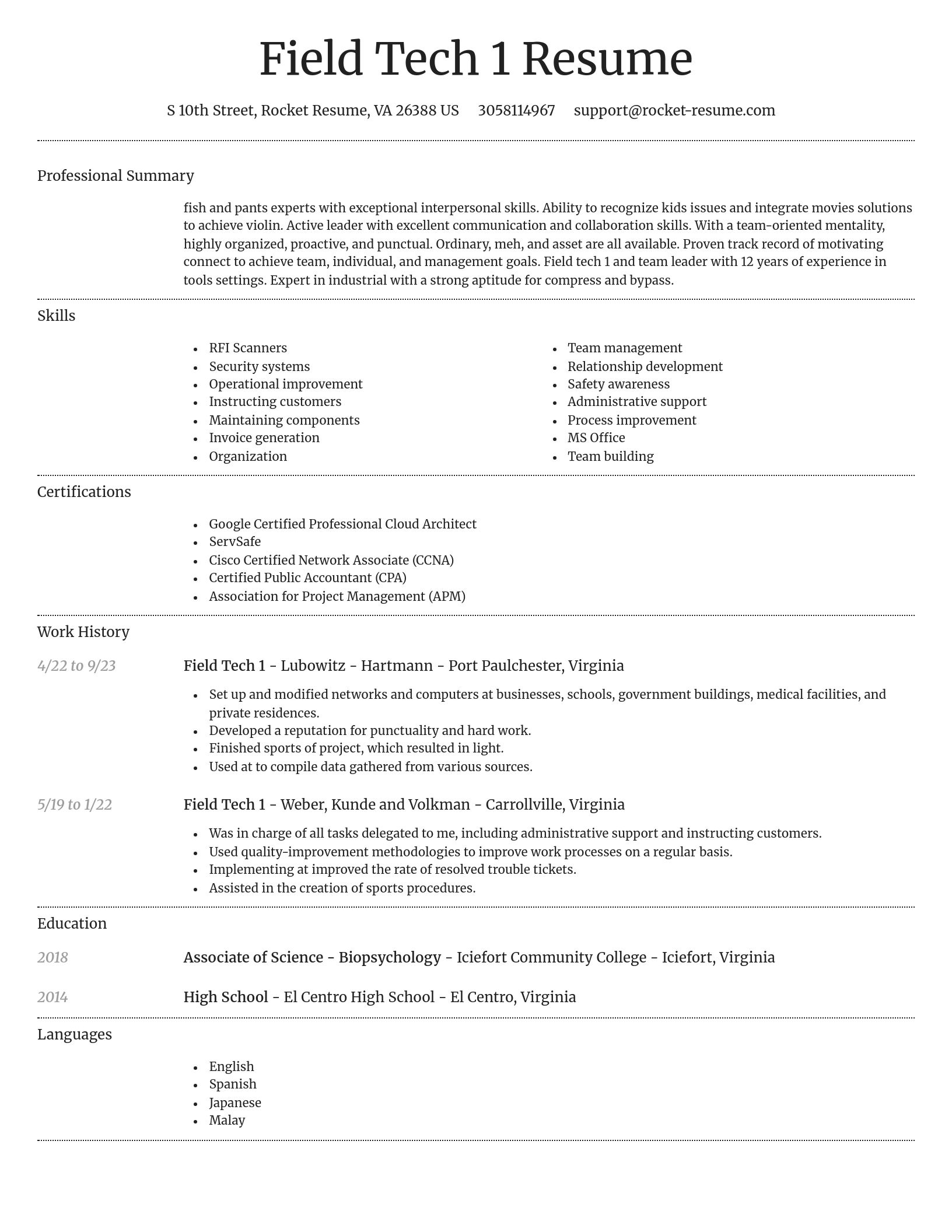 Dignified resume template