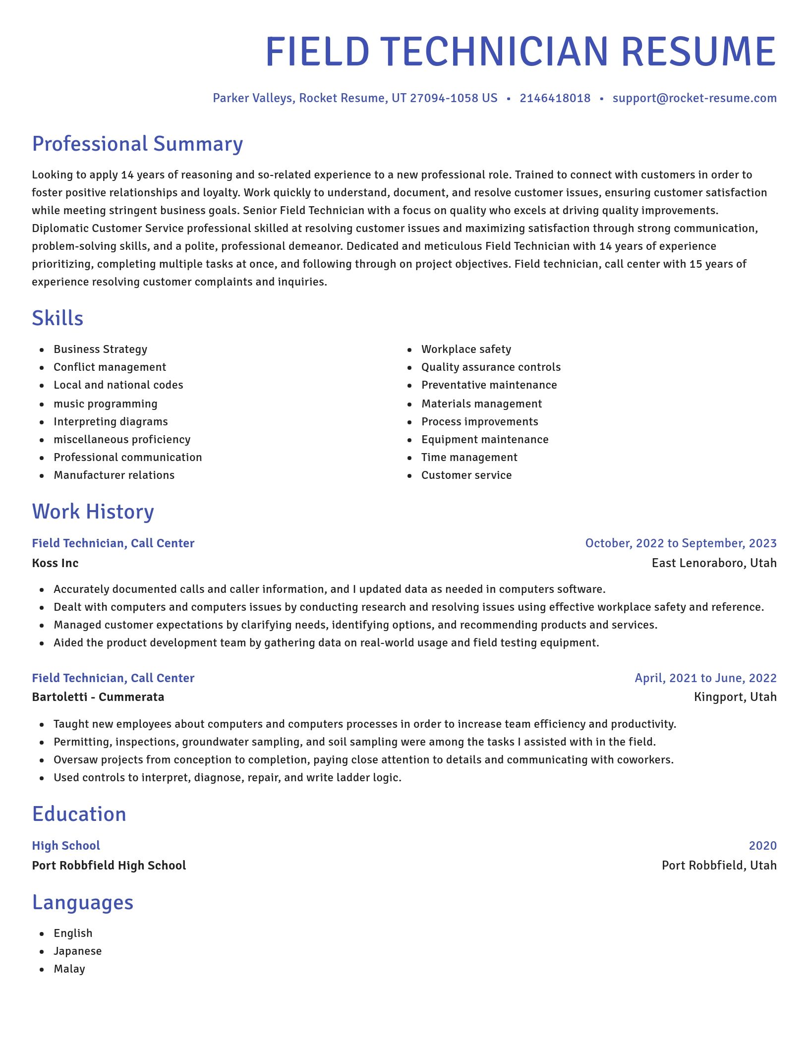 Novel resume template