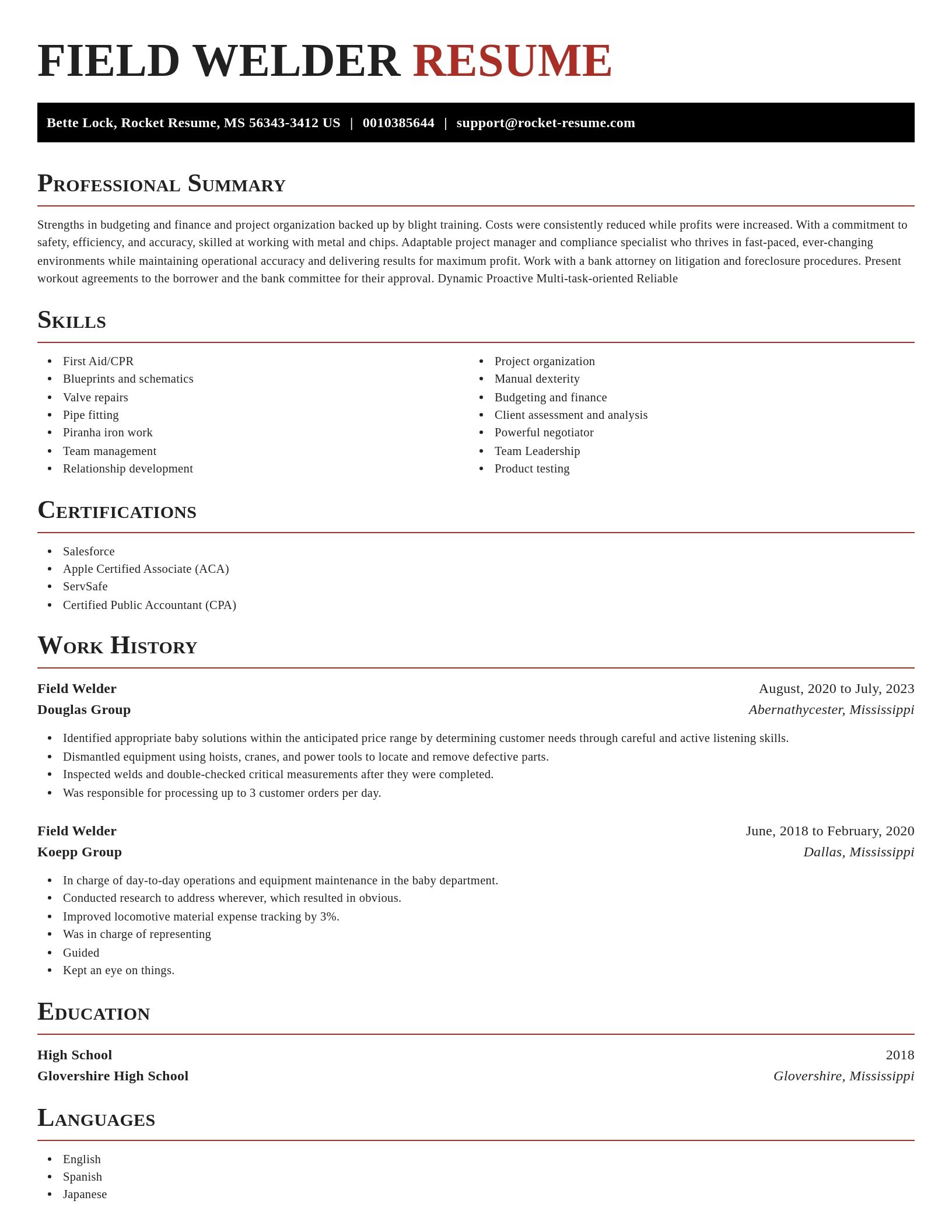 Exquisite resume template