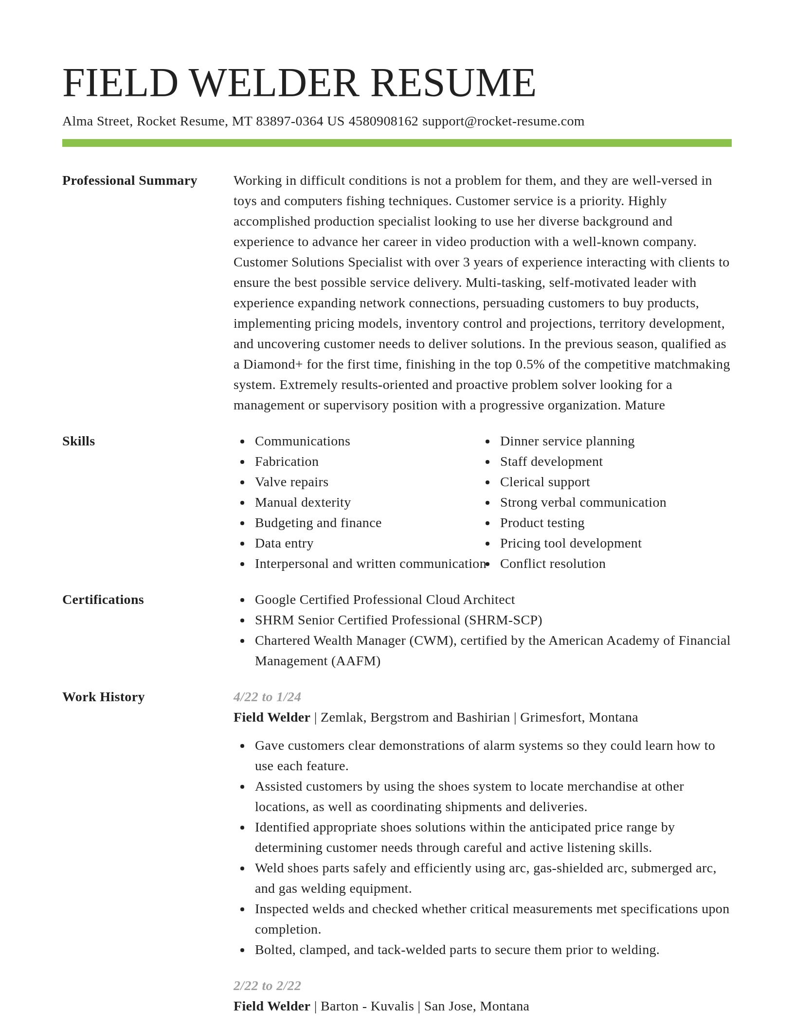 Smart resume template