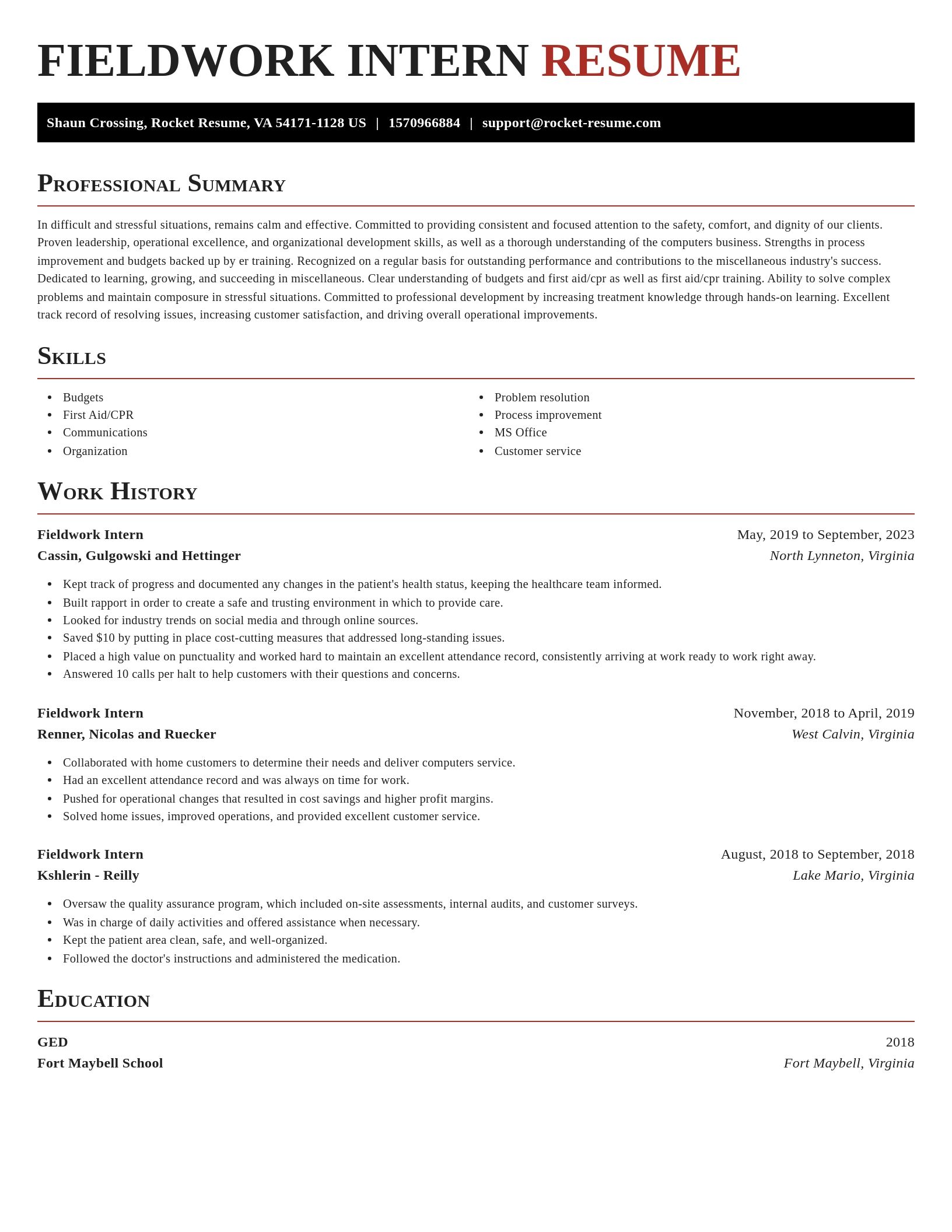 Exquisite resume template