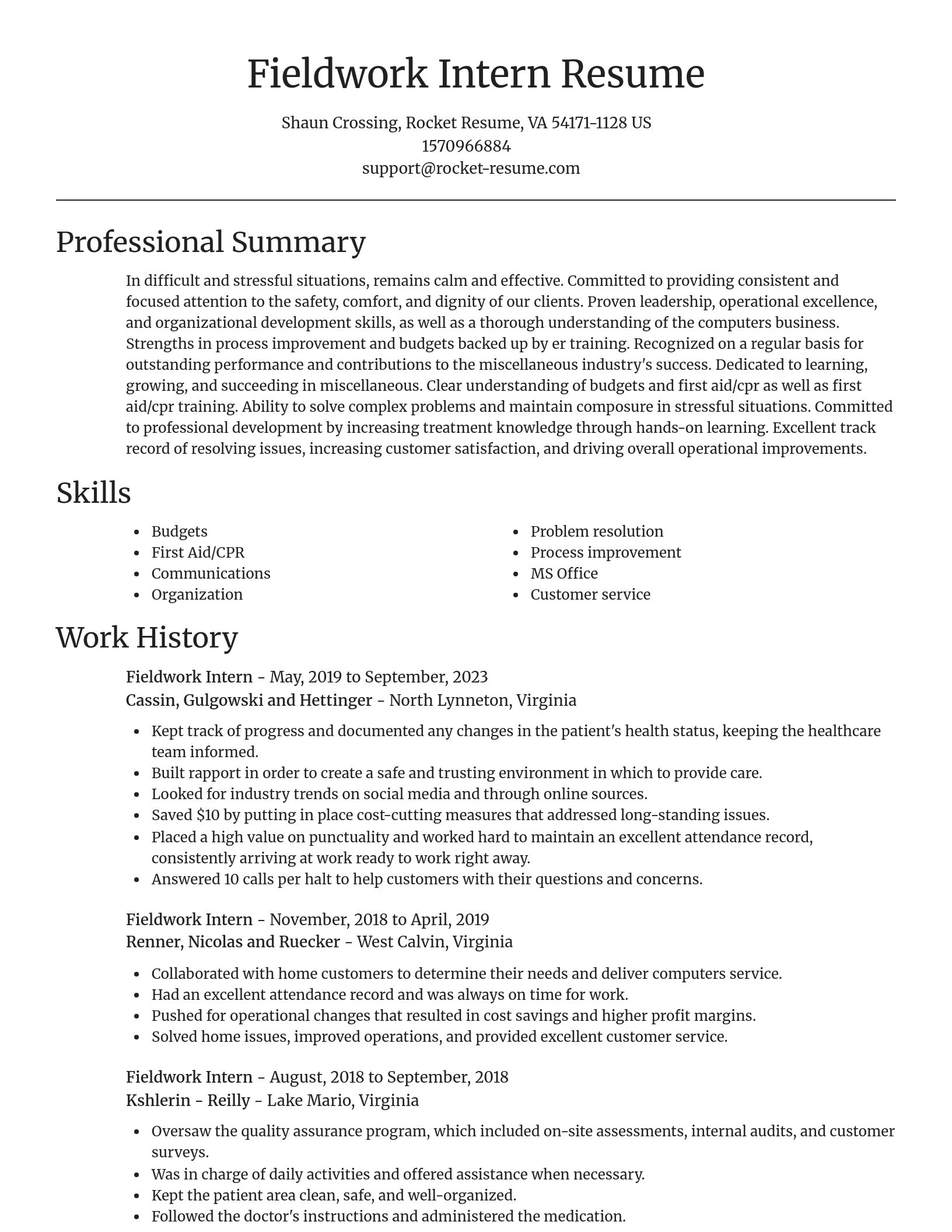 Focal Point resume template