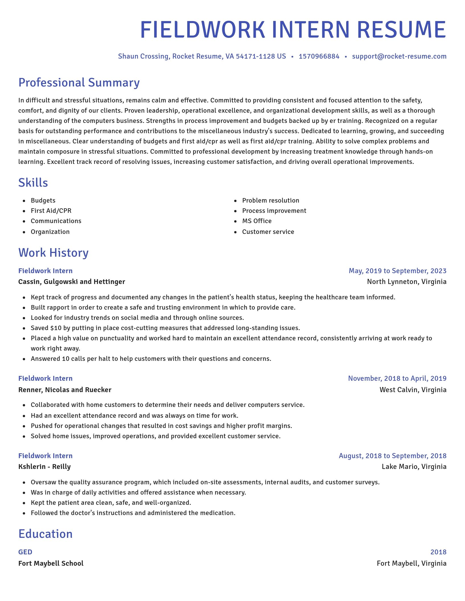 Novel resume template