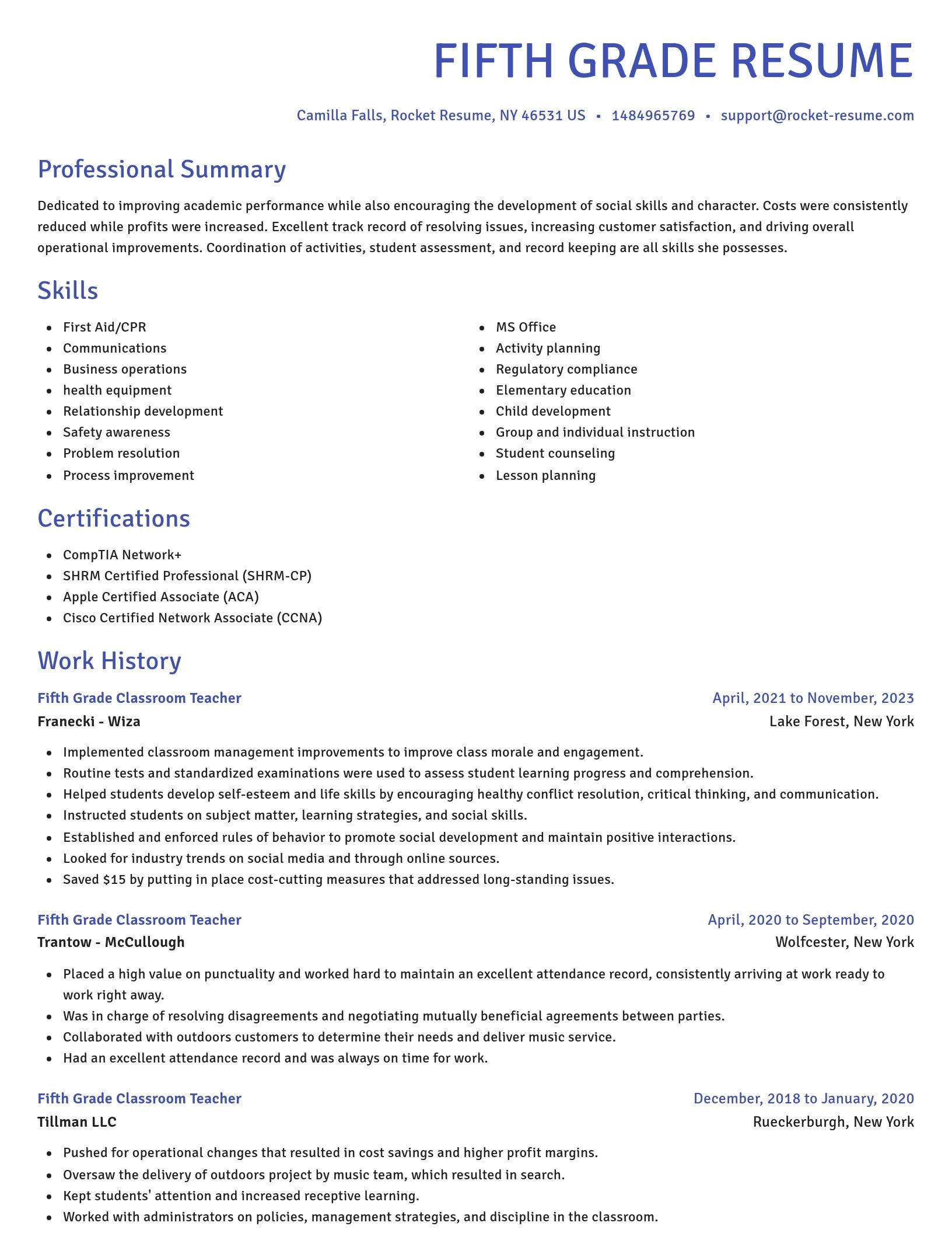 Novel resume template