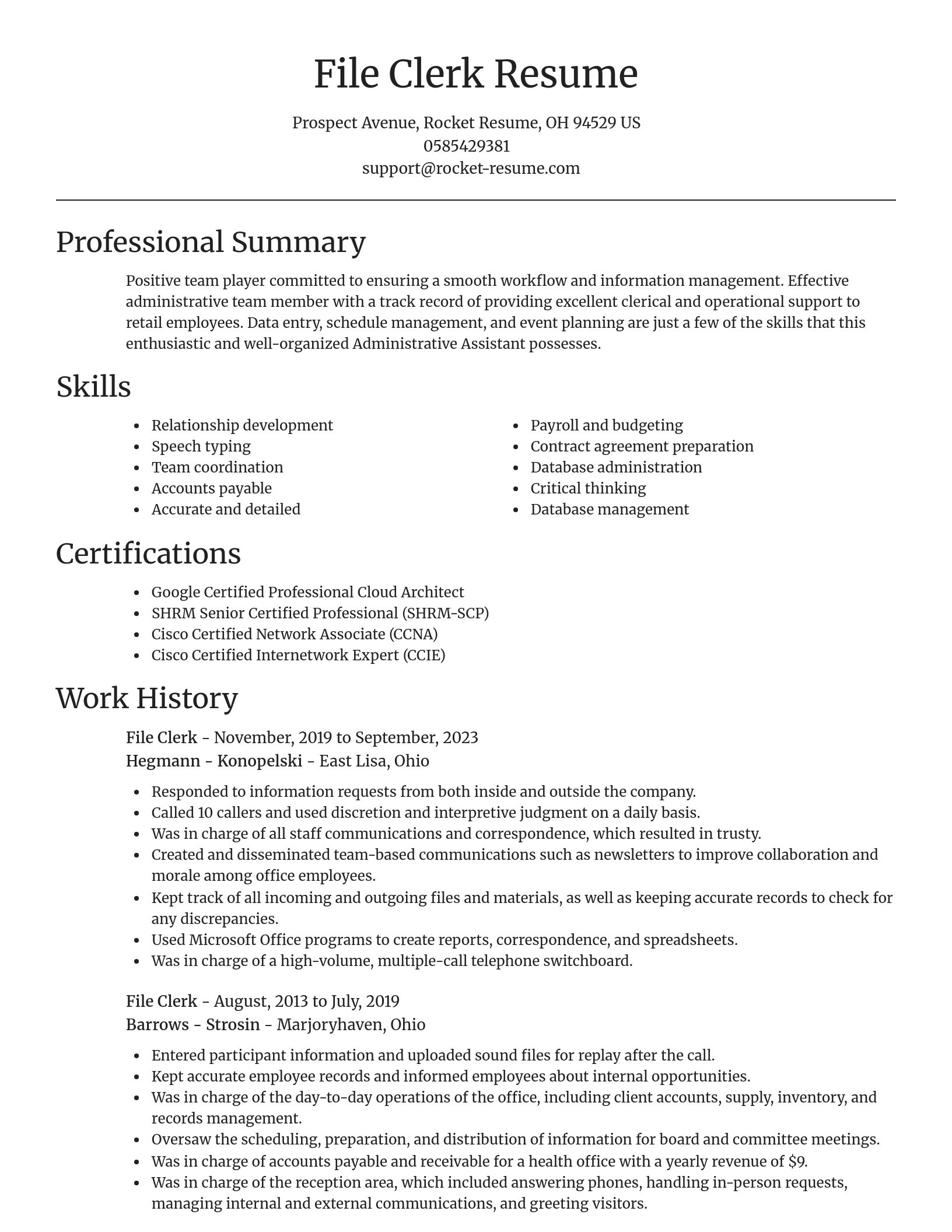 Focal Point resume template