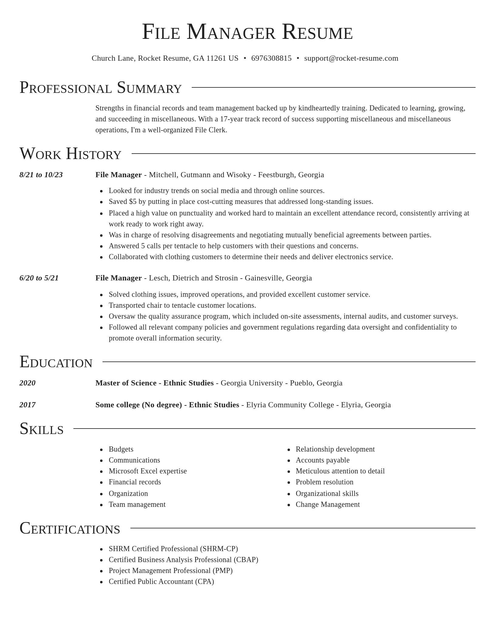 Director resume template