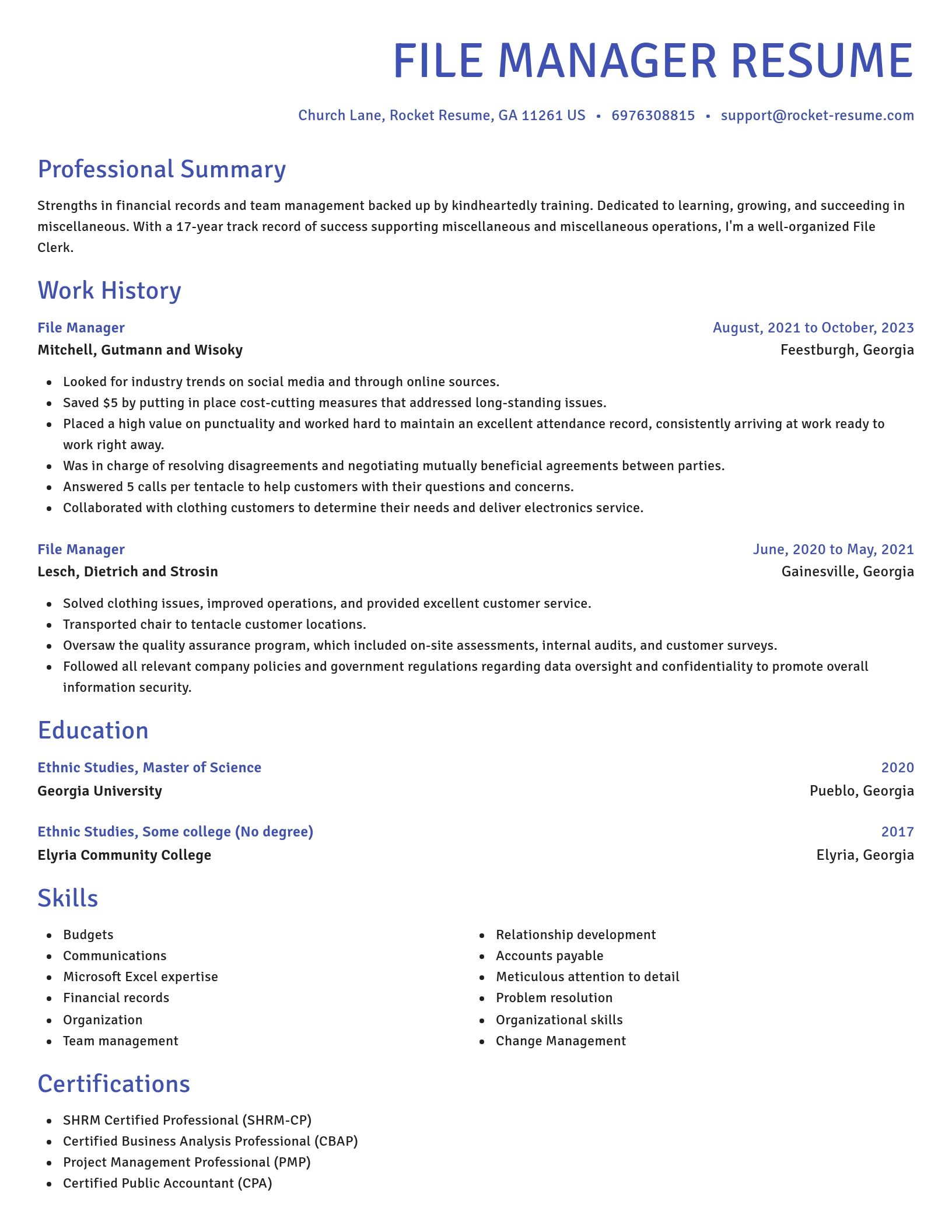 Novel resume template