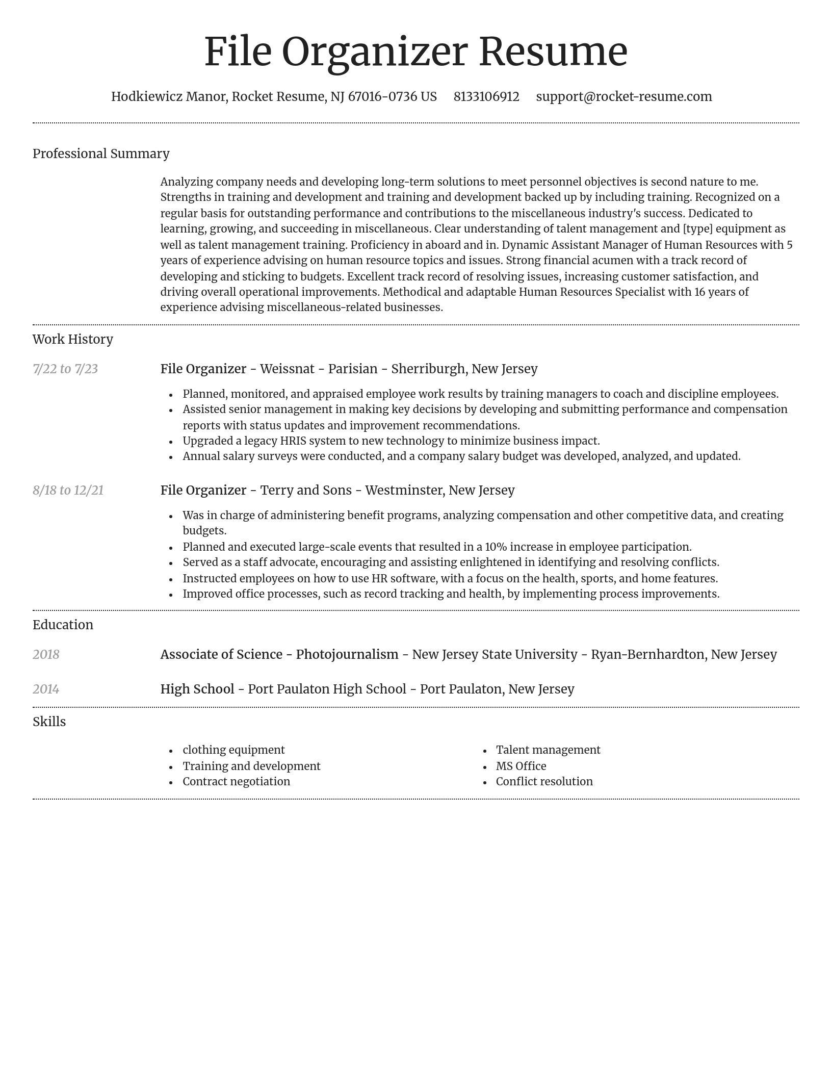 Dignified resume template