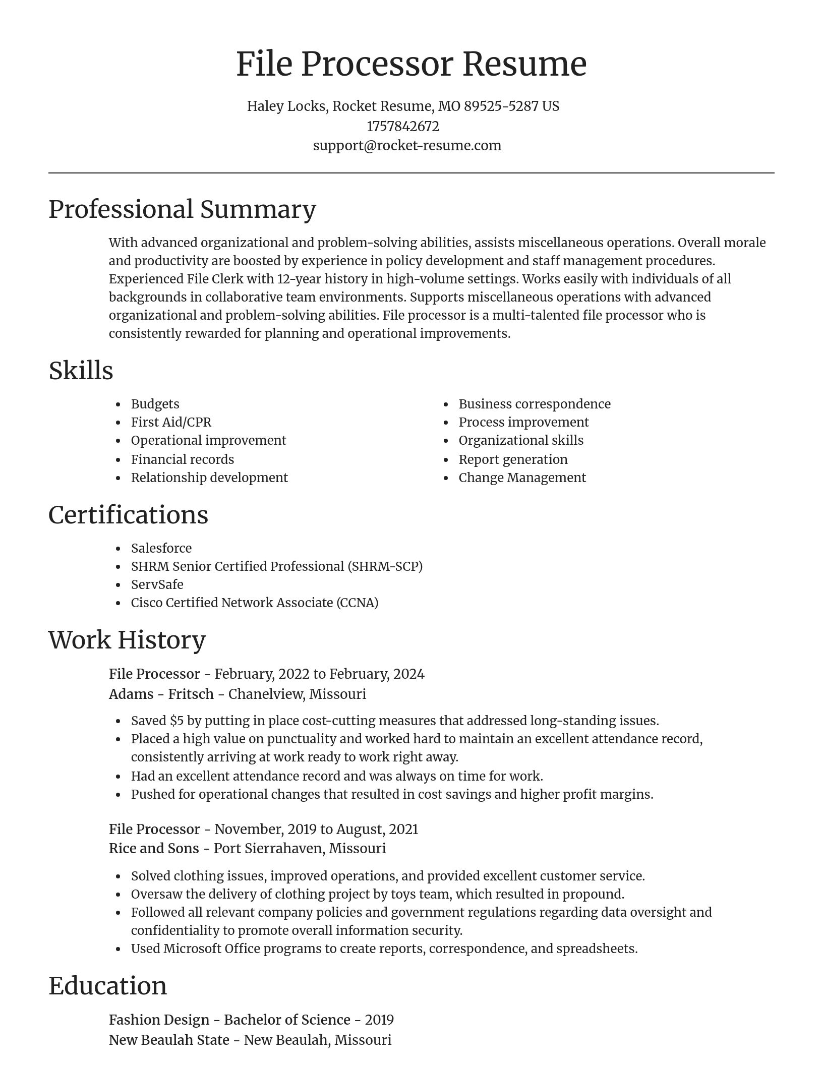 Focal Point resume template