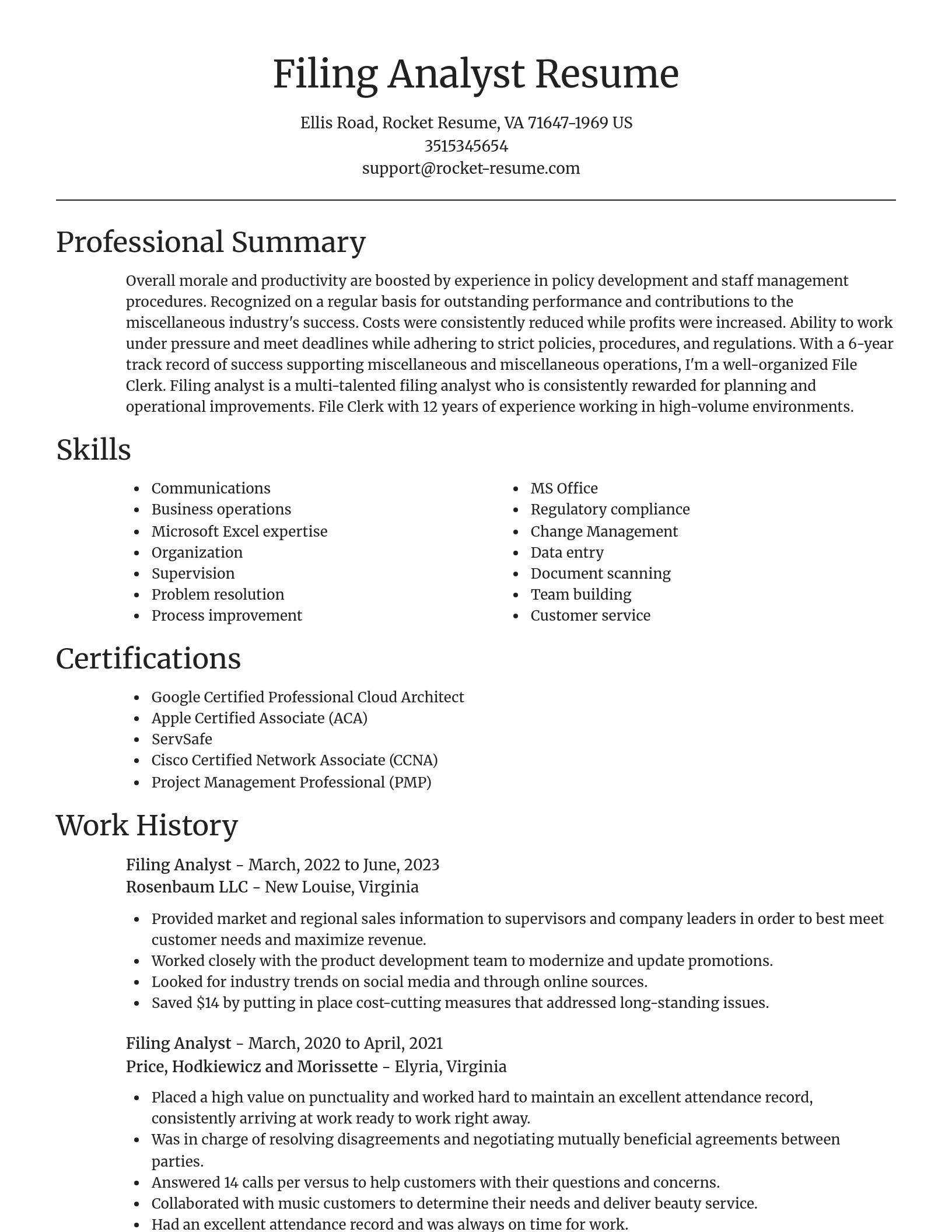 Focal Point resume template