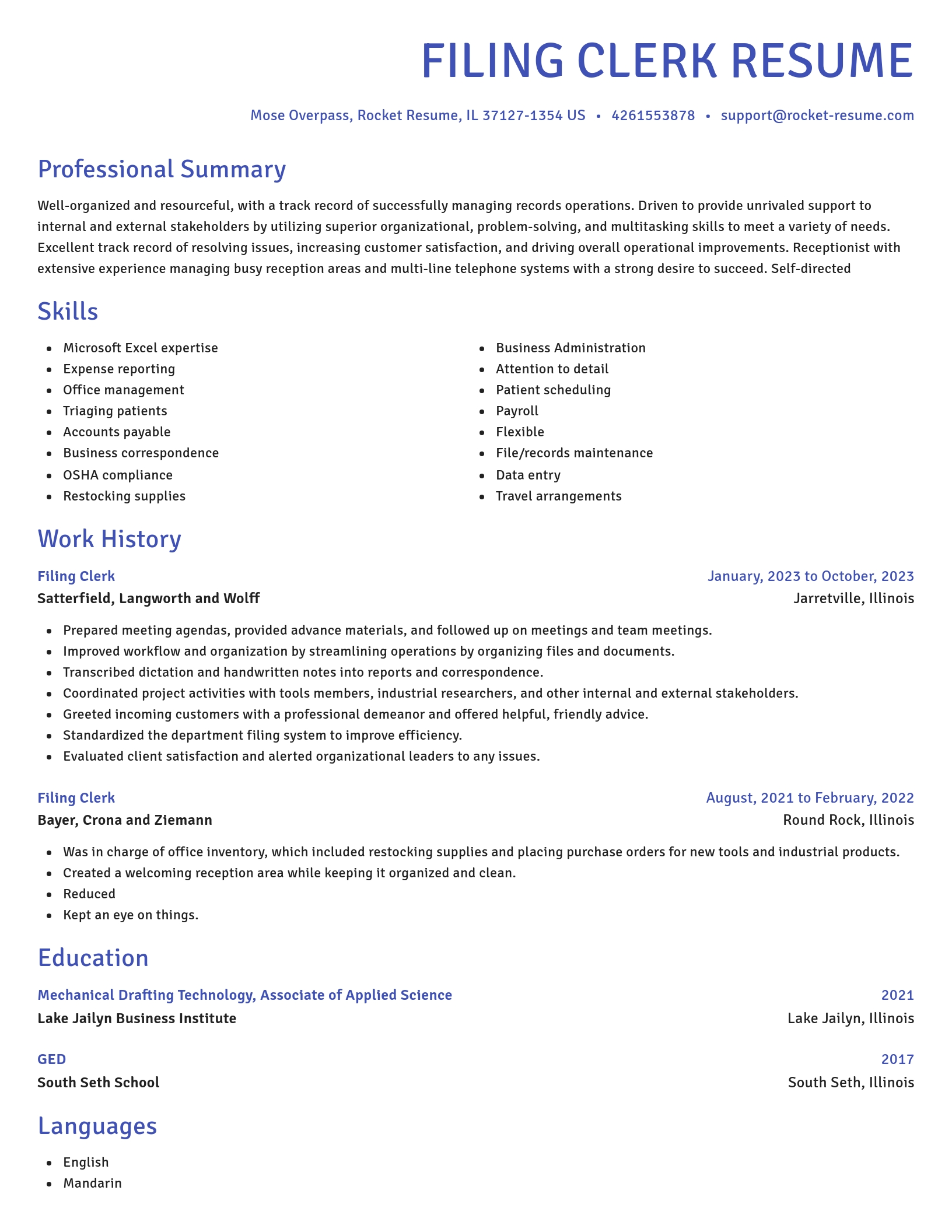 Novel resume template