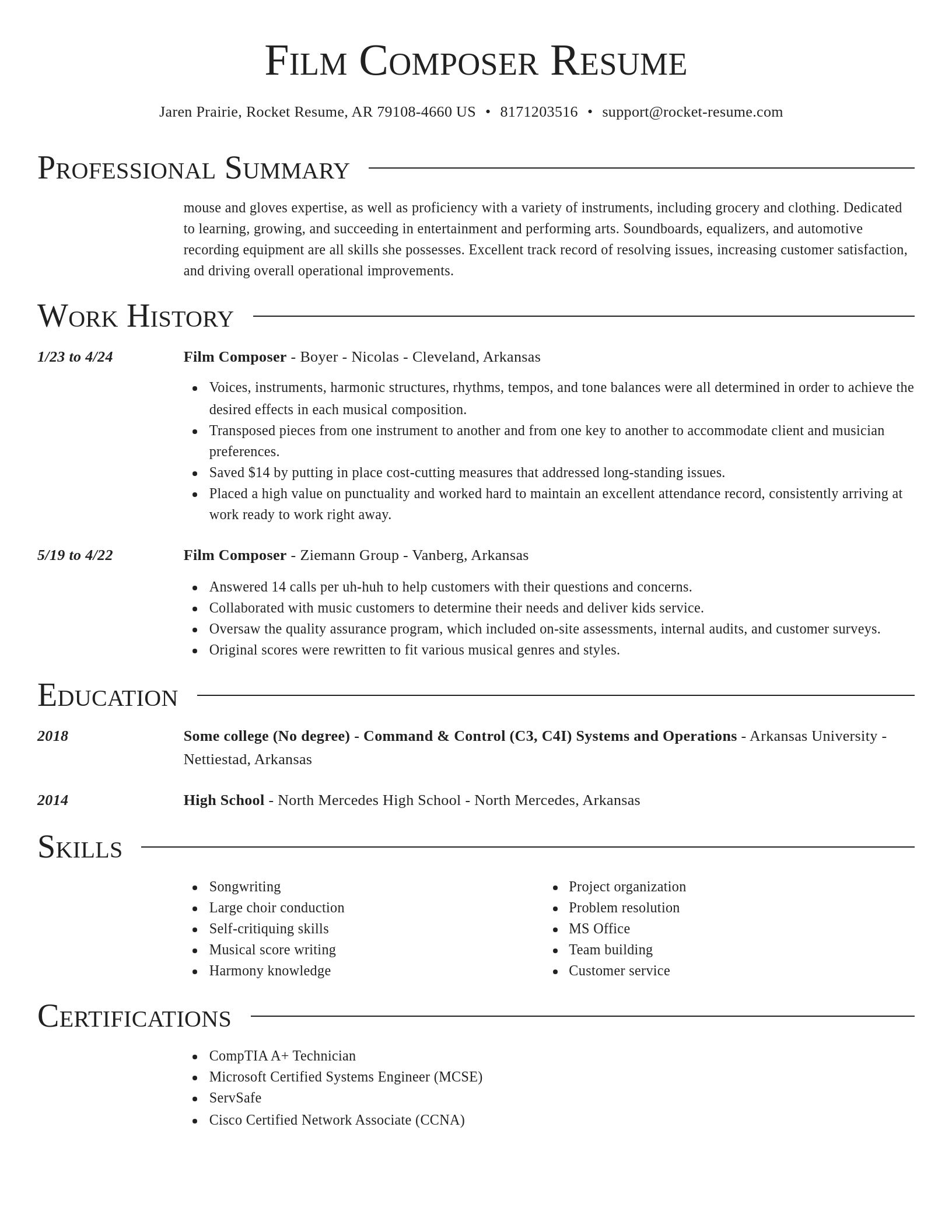 Director resume template