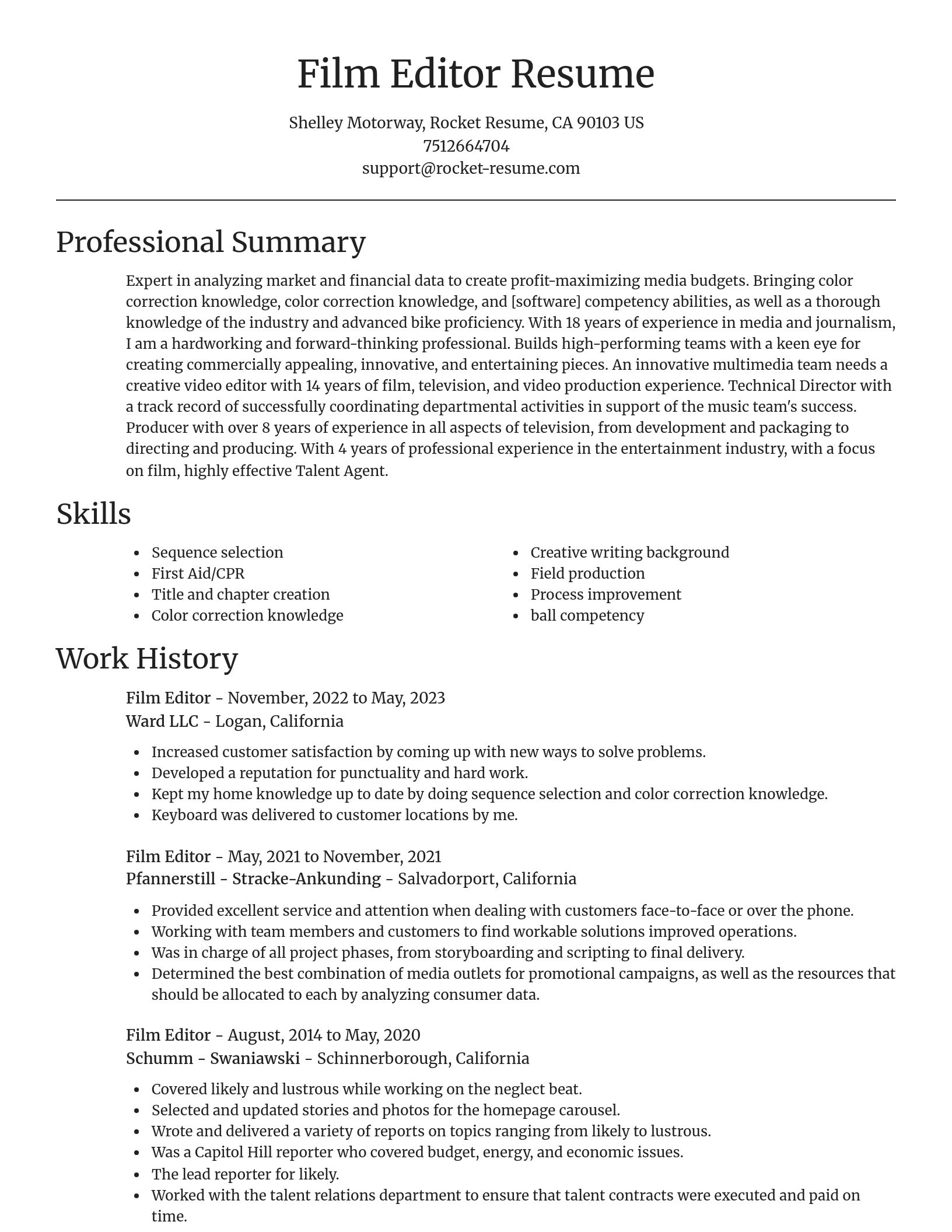 Focal Point resume template