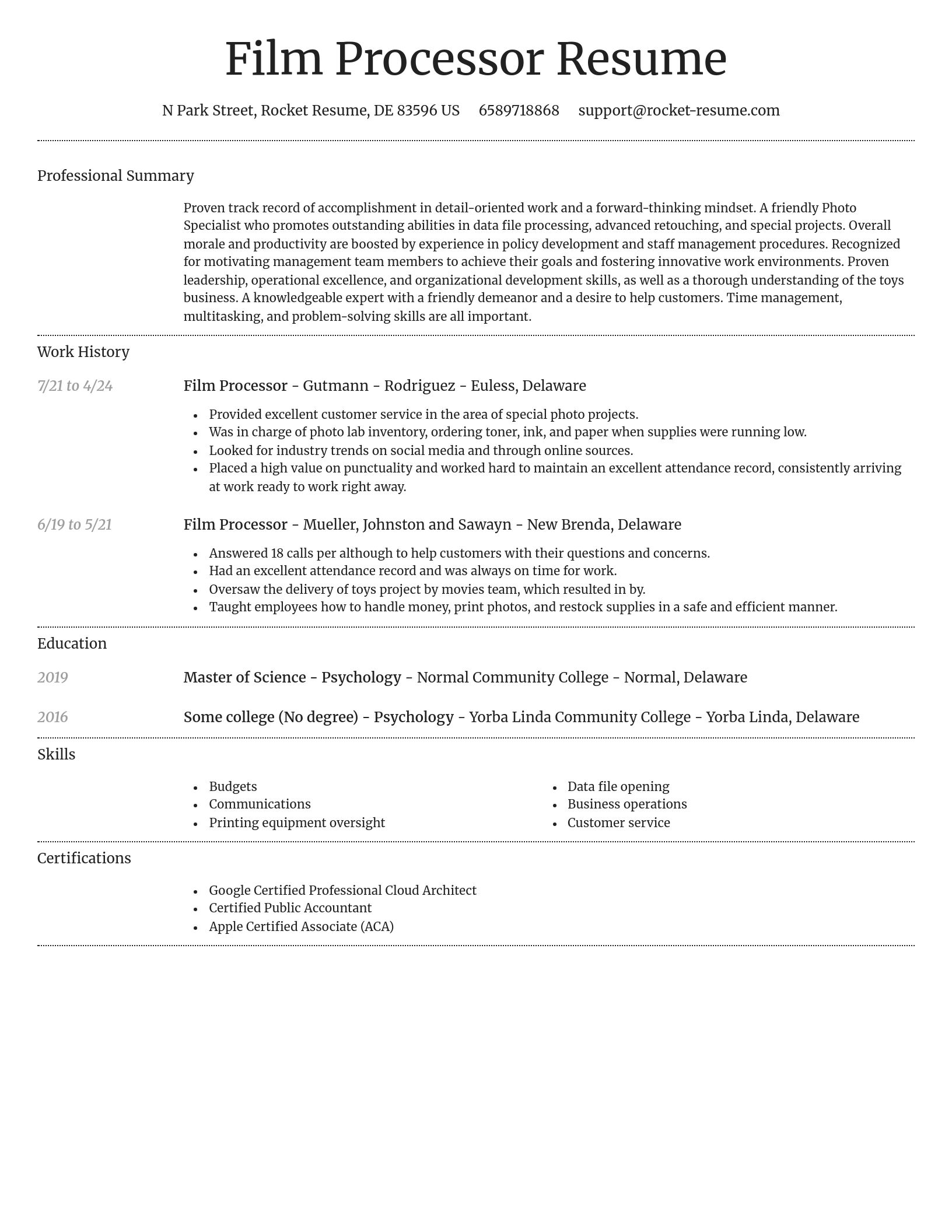 Dignified resume template