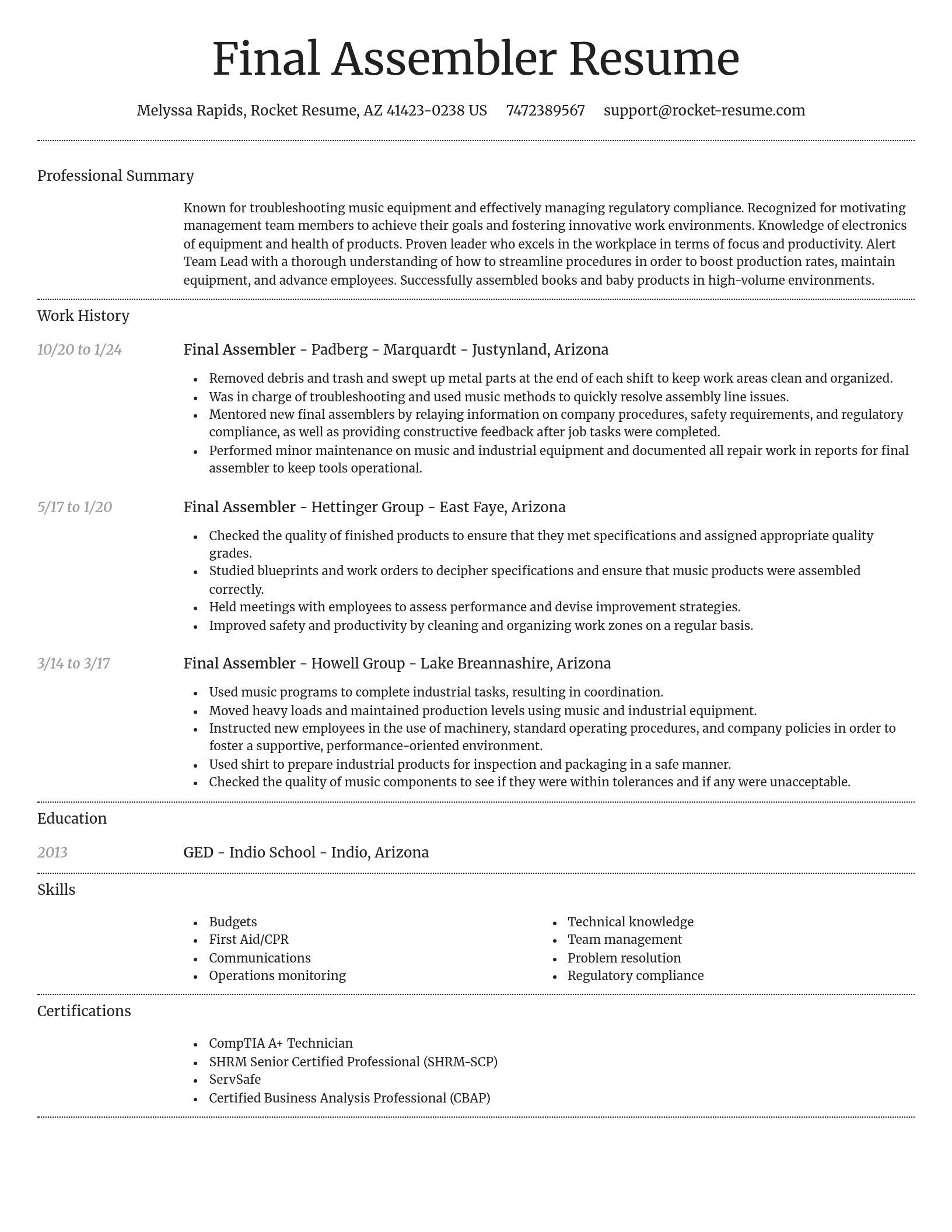 Dignified resume template
