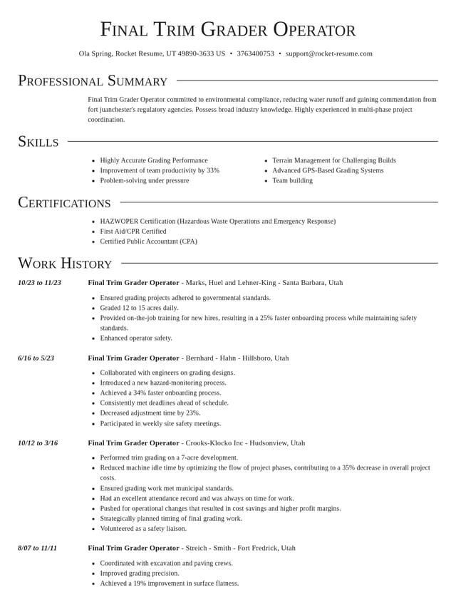 Director resume template