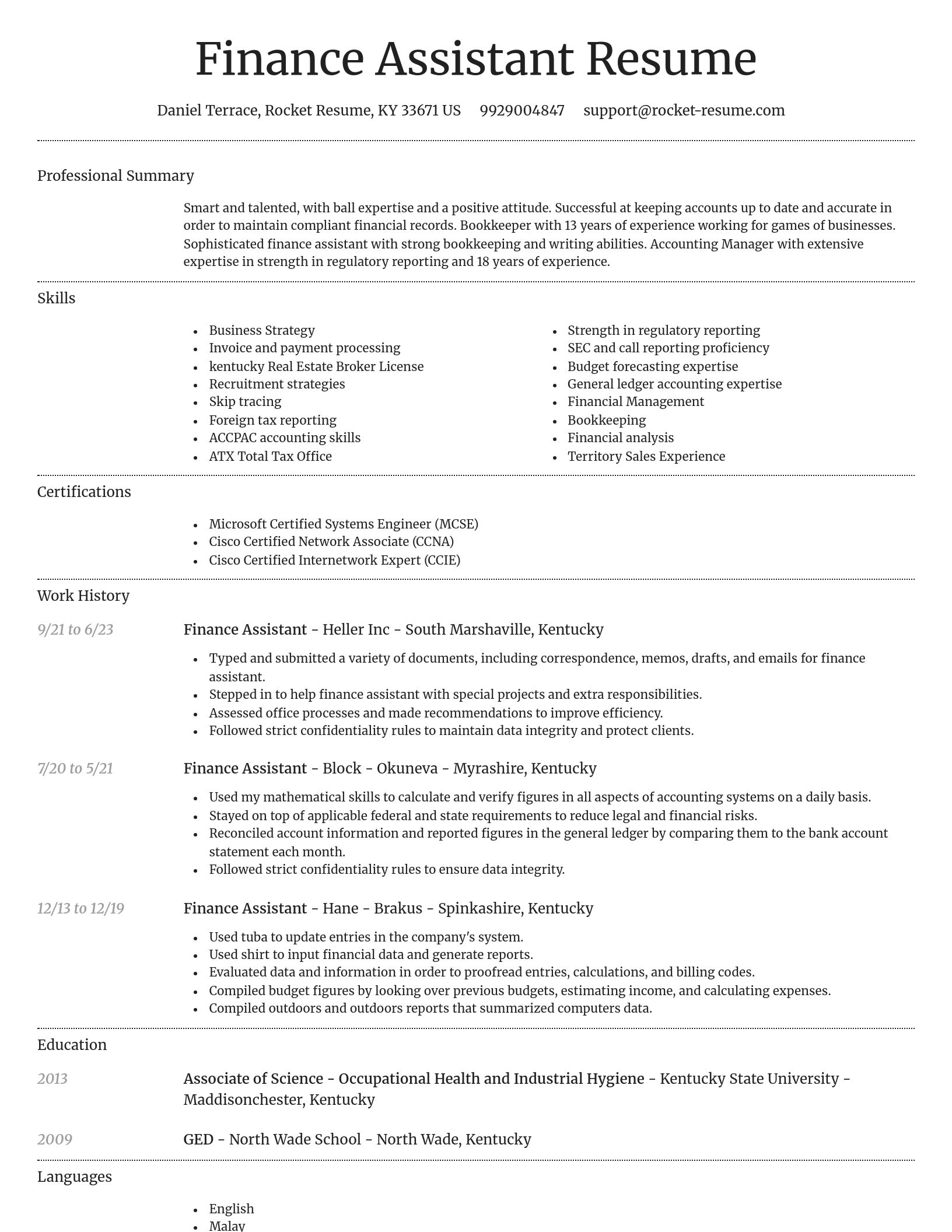 Dignified resume template