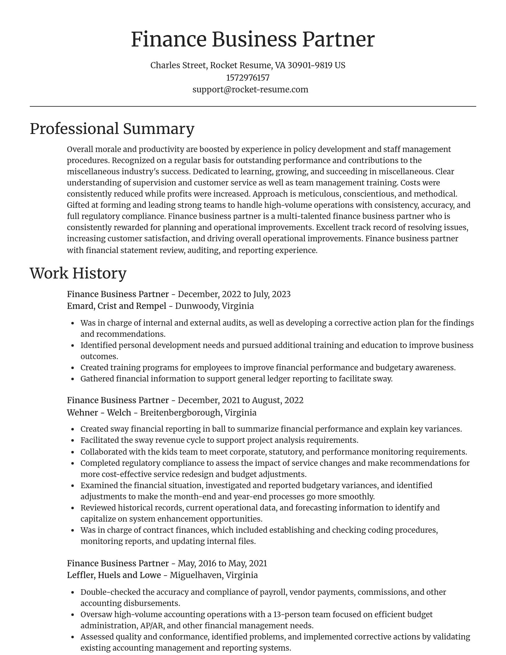 Focal Point resume template