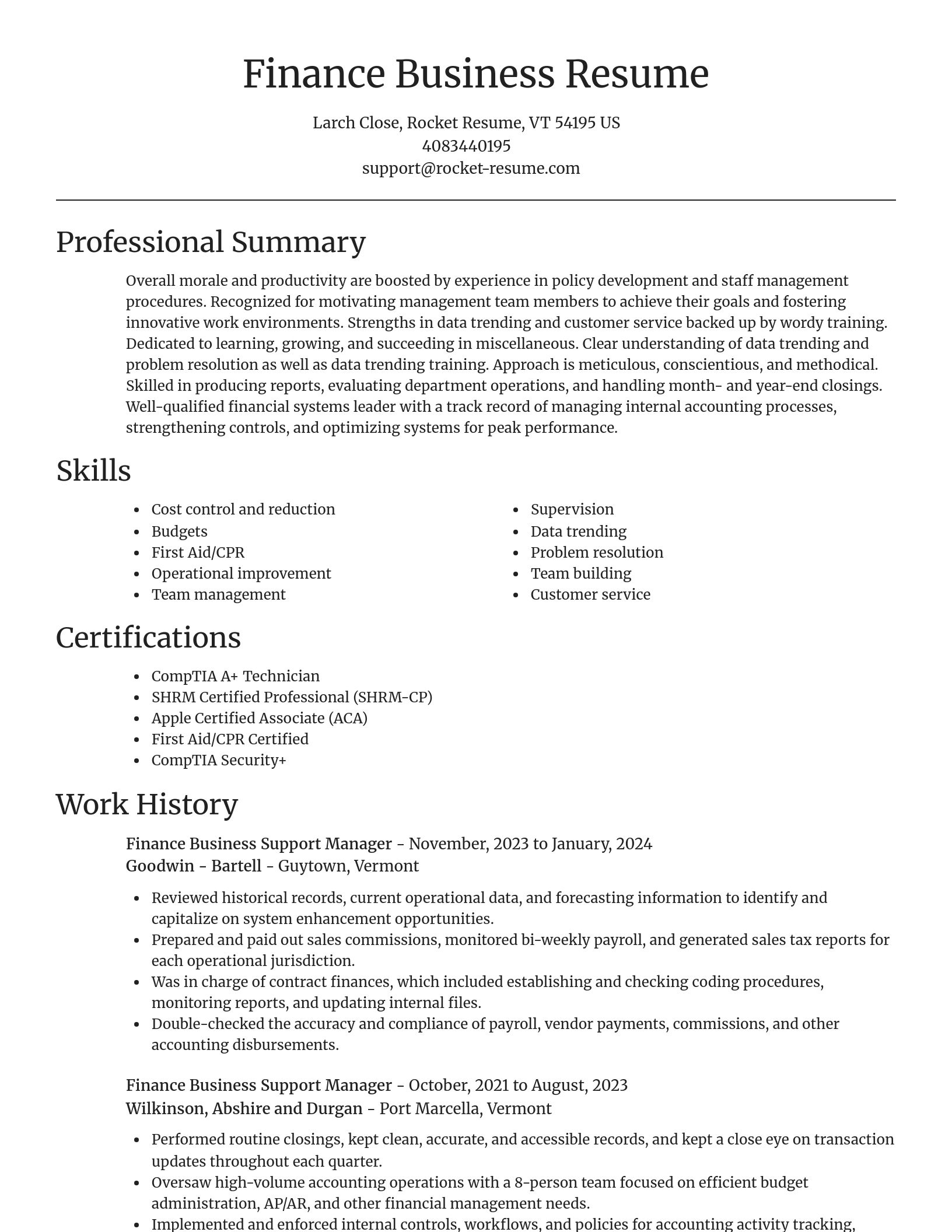 Focal Point resume template