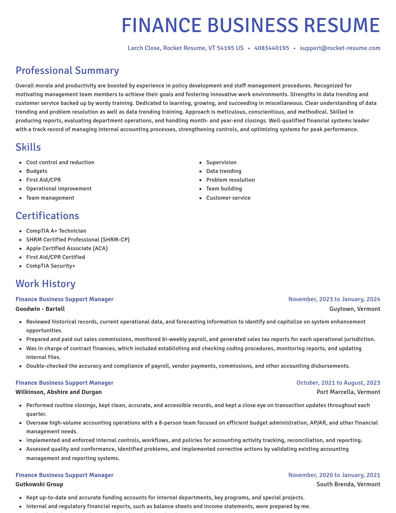 Novel resume template